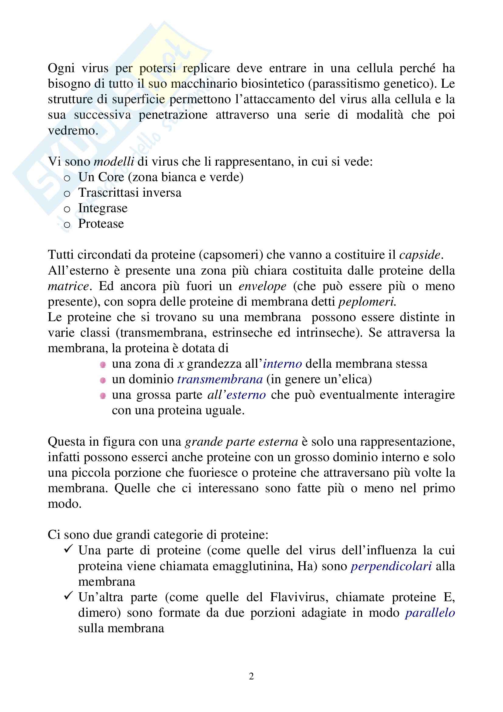 Microbiologia - virus Pag. 2