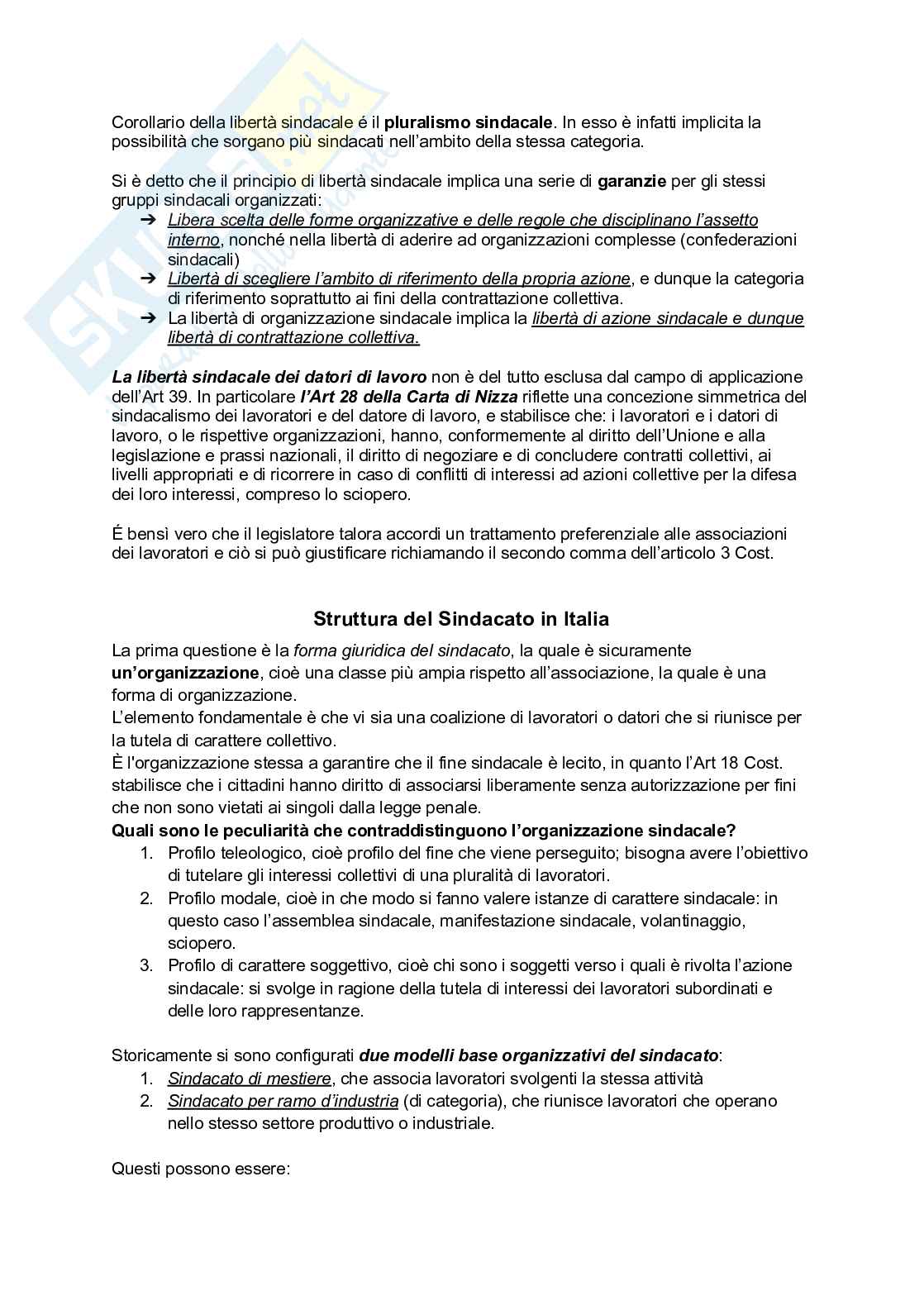 Riassunto esame Diritto del lavoro, Prof. Cappelli Lucio, libro consigliato Diritto sindacale, Magnani Pag. 6