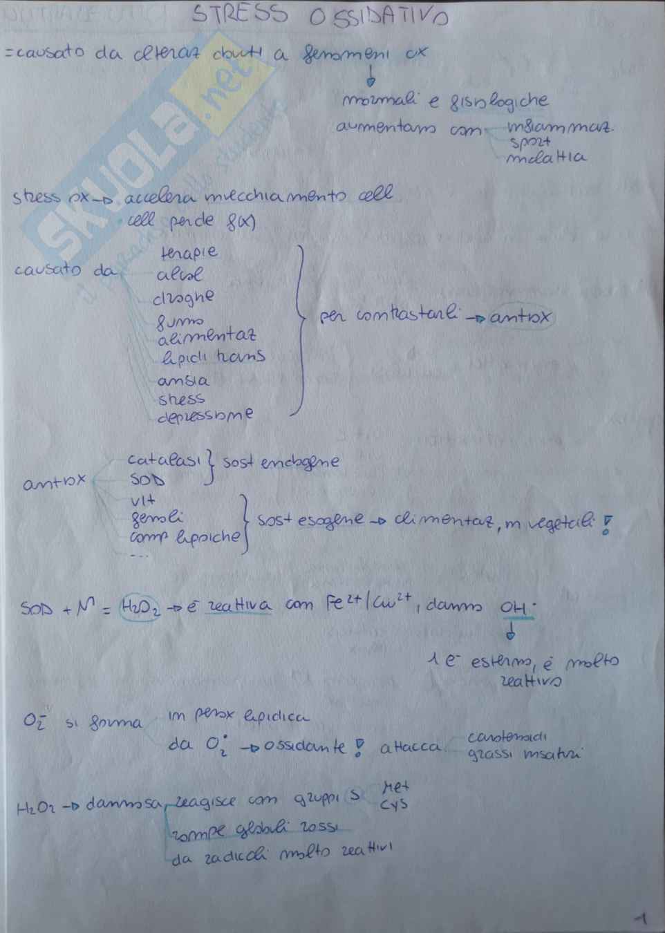 Alimentazione per problemi salute Pag. 11