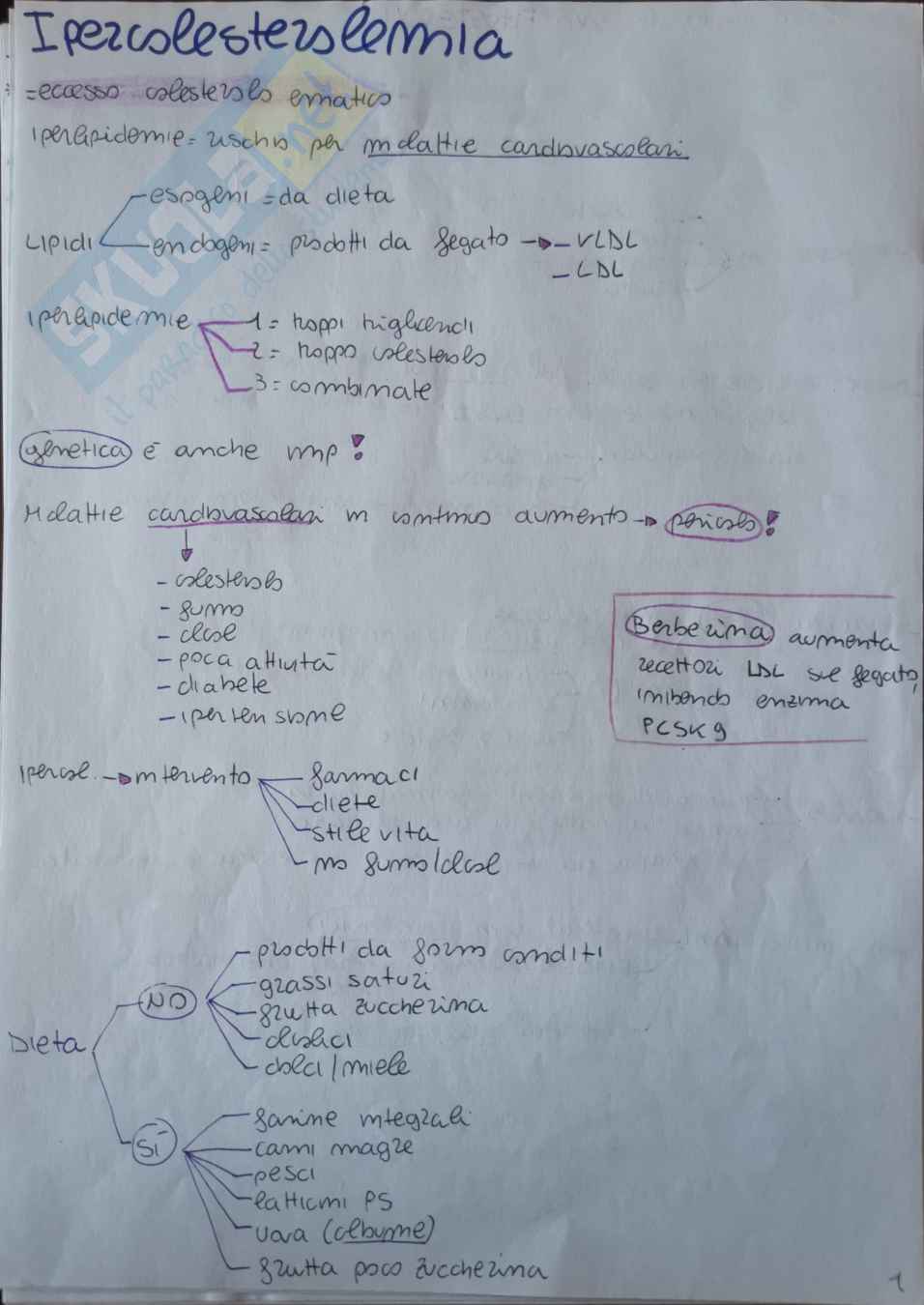 Alimentazione per problemi salute Pag. 21