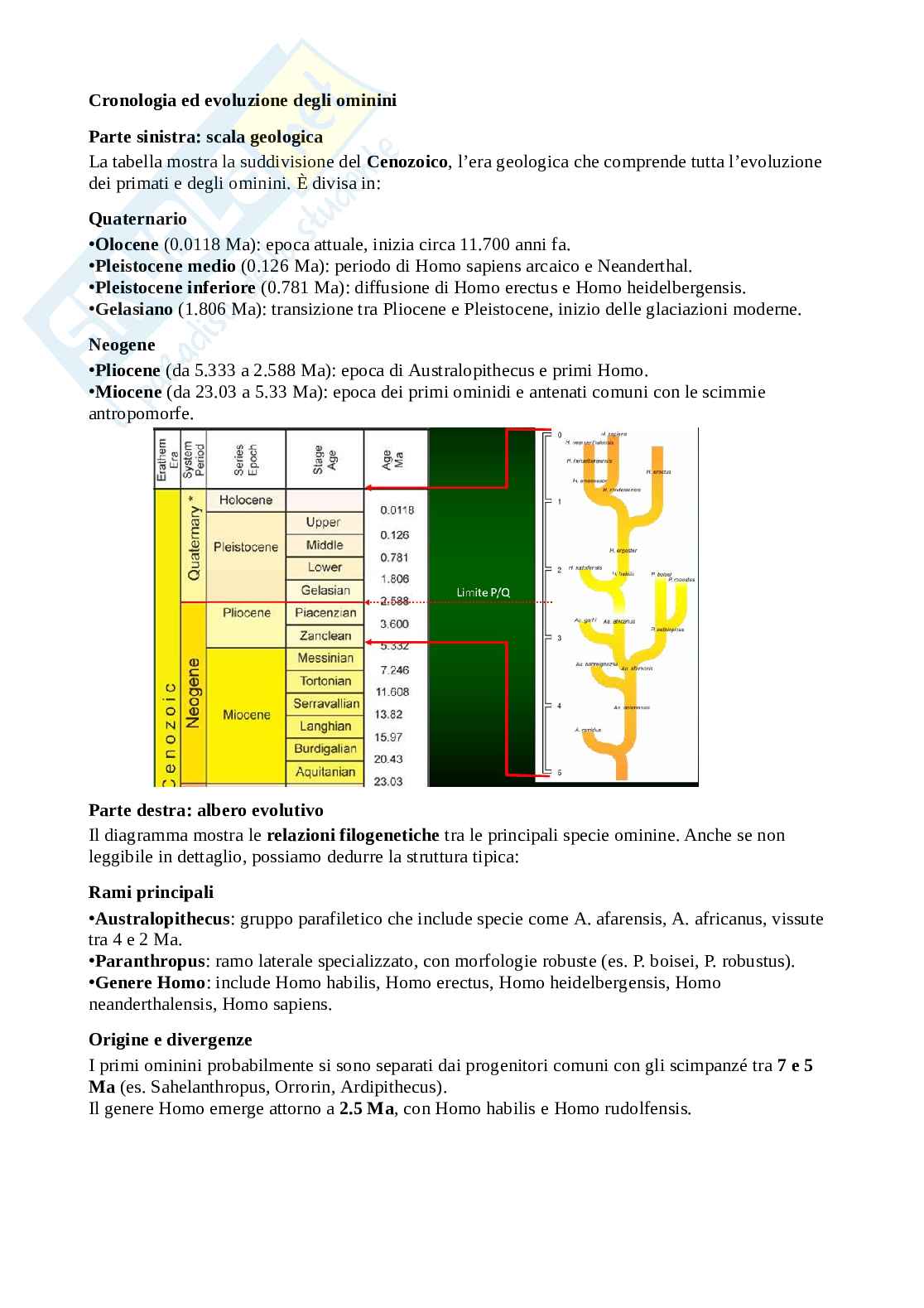 Appunti di Metodi e tecniche in preistoria Pag. 31