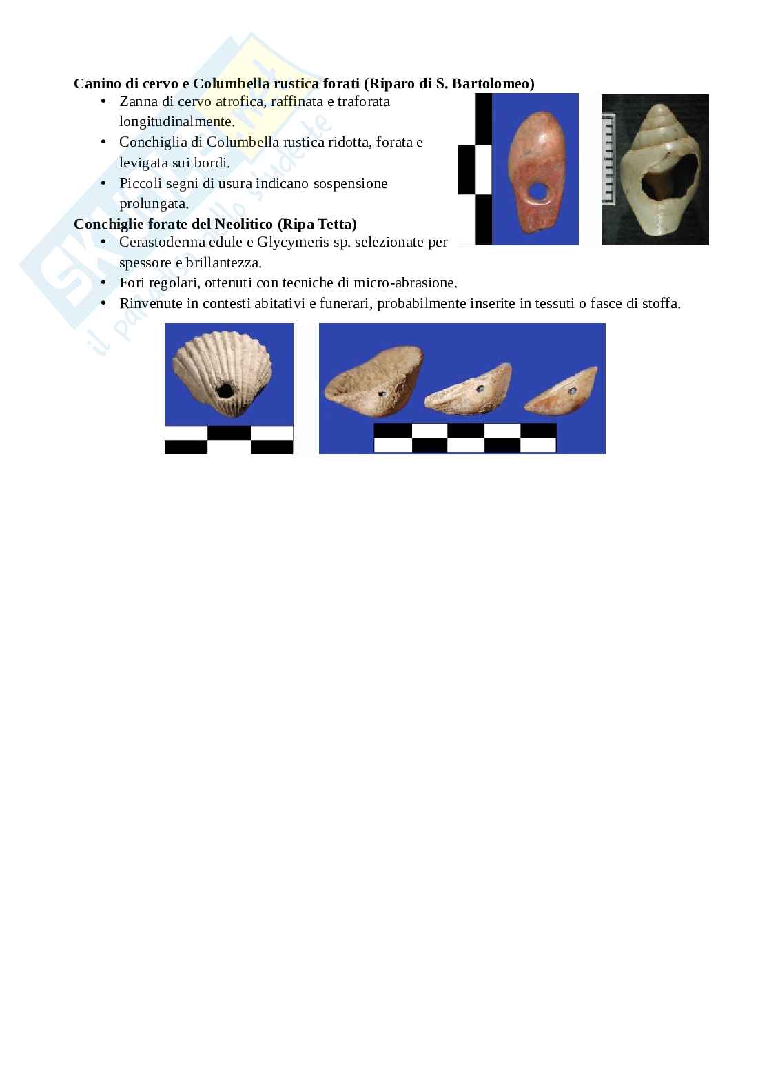 Appunti di Metodi e tecniche in preistoria Pag. 66