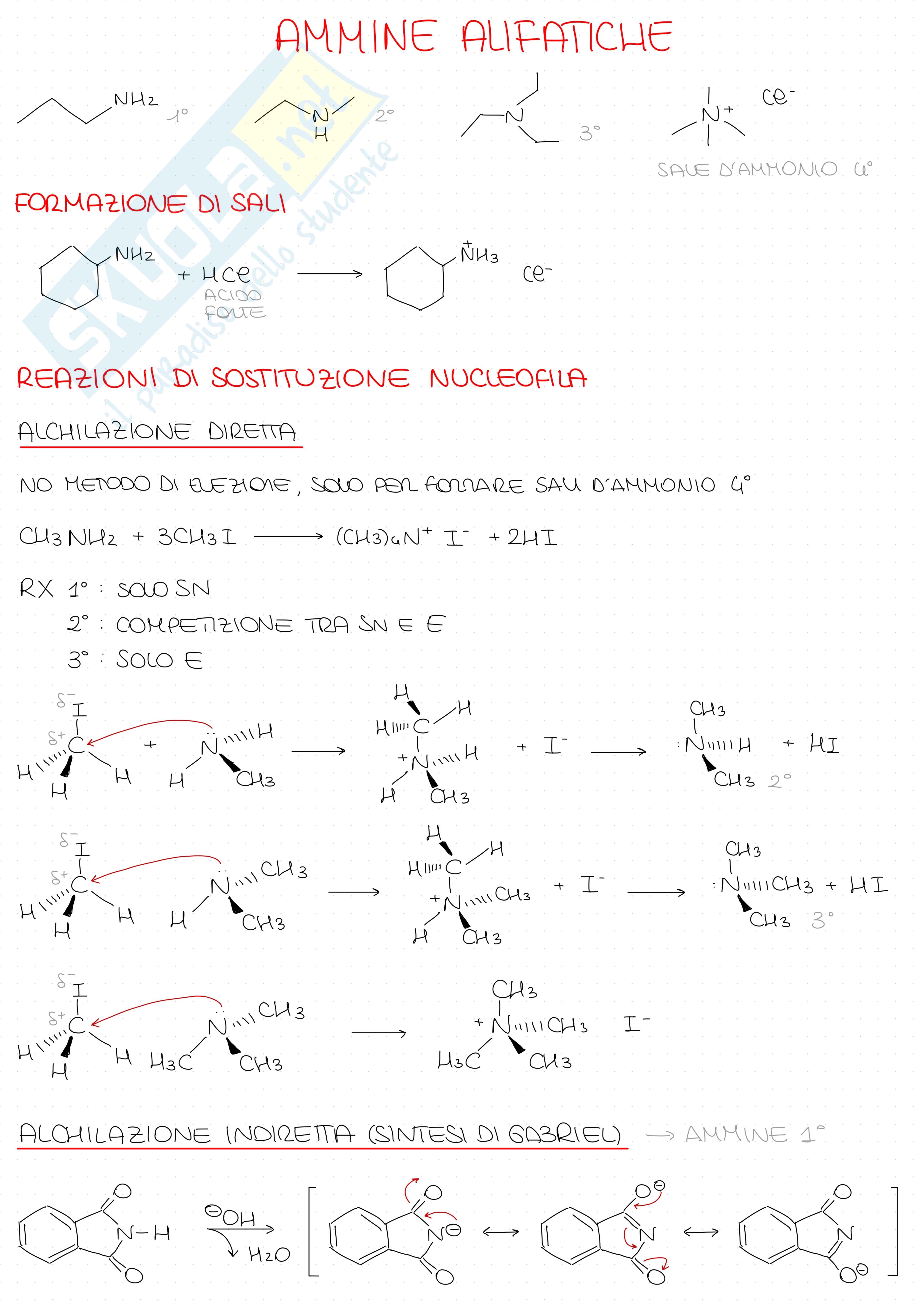 Ammine alifatiche  Pag. 1
