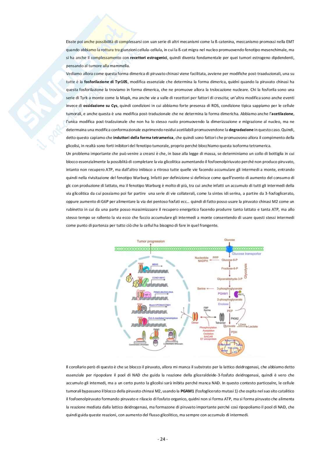 Biologia cellulare e molecolare (parte 2 di 2 biochimica cellulare) Pag. 26