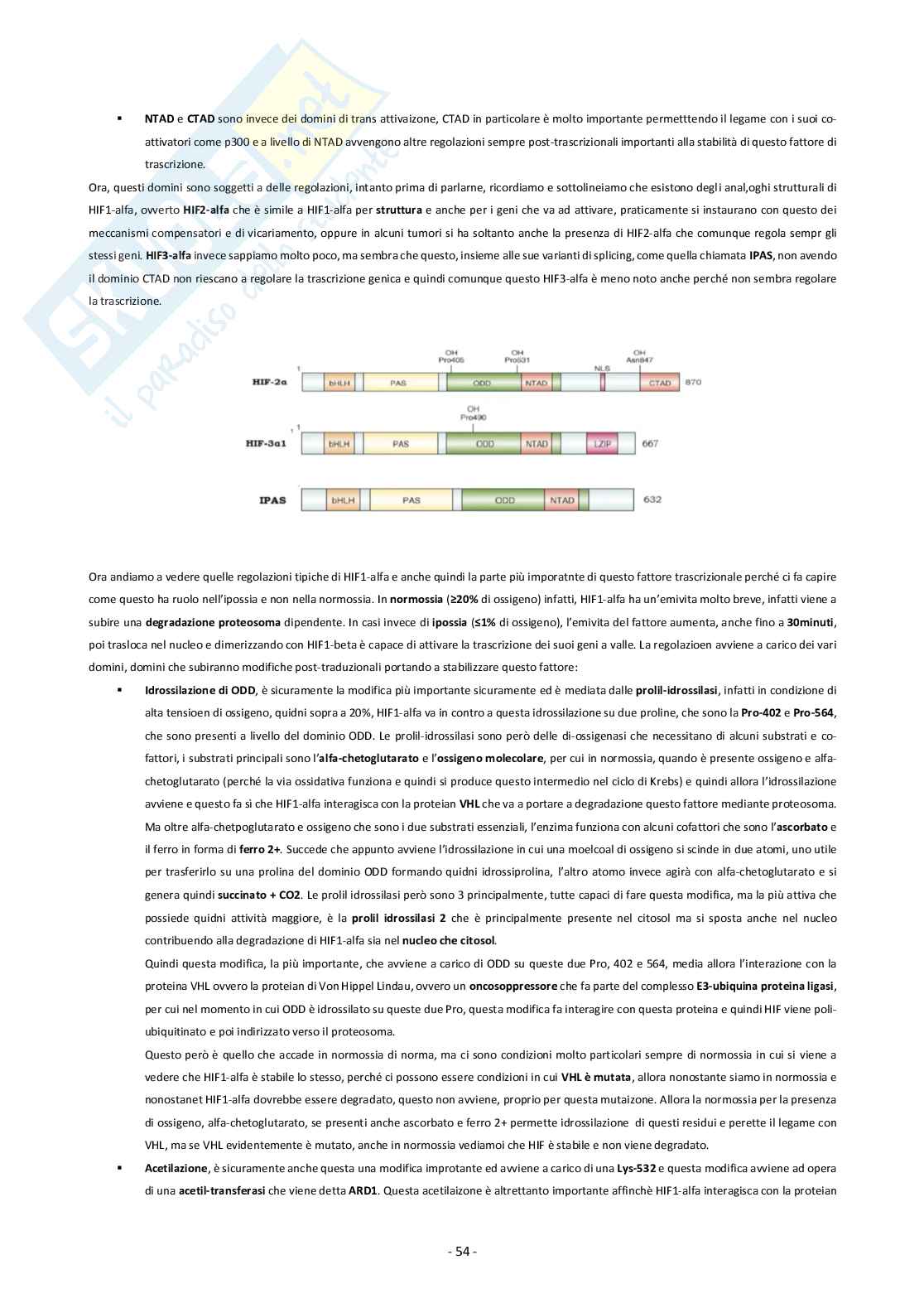 Biologia cellulare e molecolare (parte 2 di 2 biochimica cellulare) Pag. 56