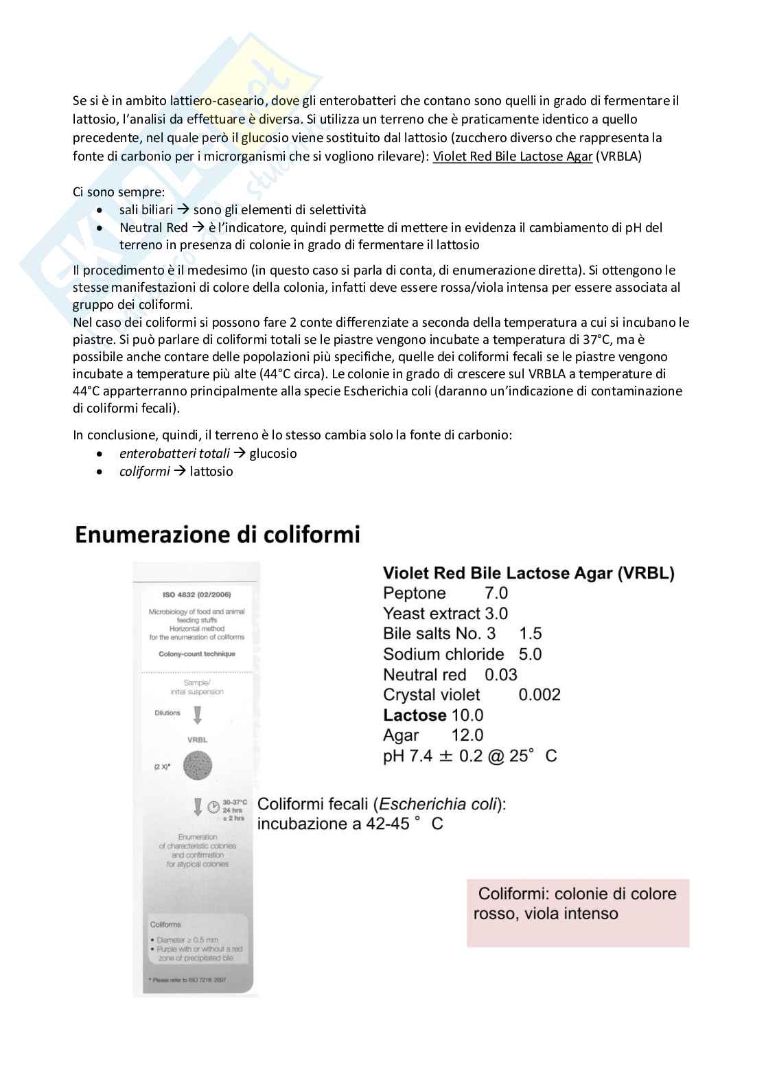 Appunti Microbiologia degli alimenti Pag. 66