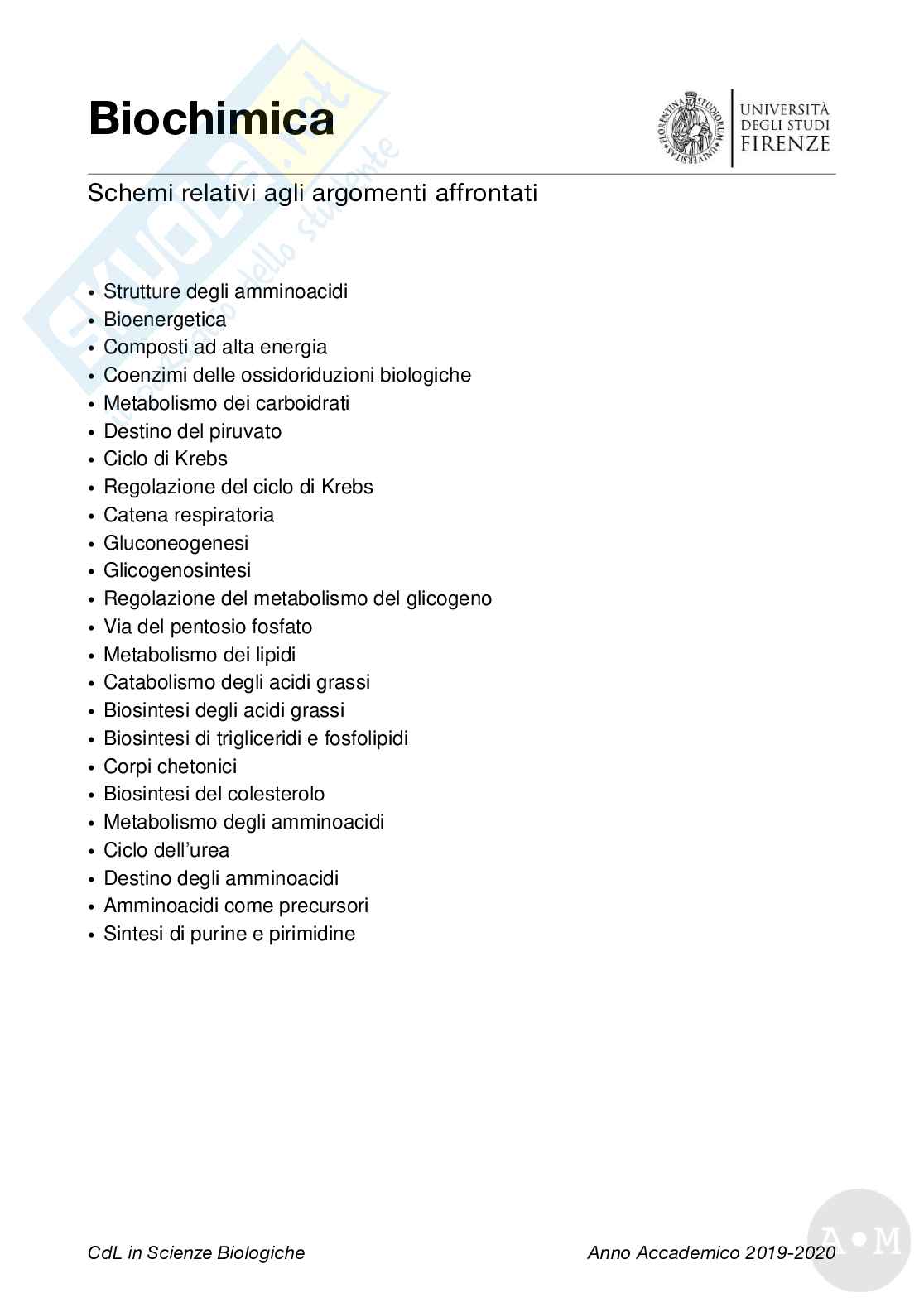 Biochimica - Schemi Pag. 1