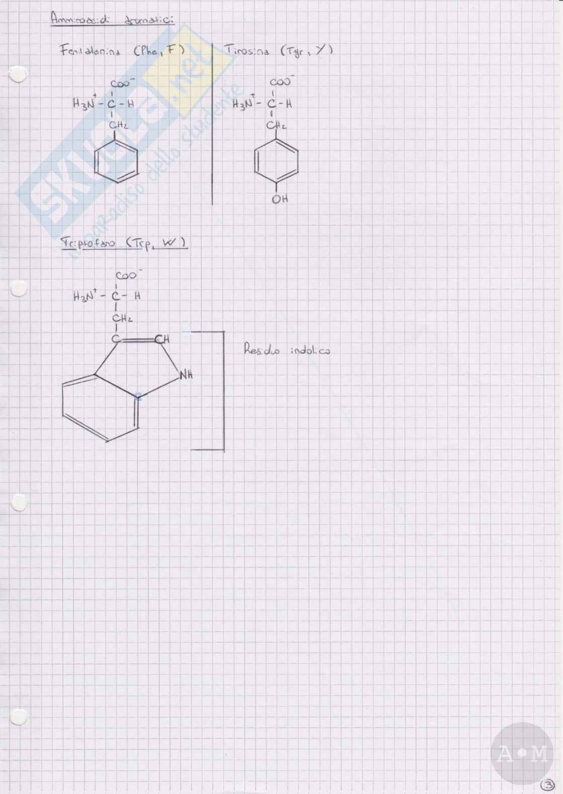 Biochimica - Schemi Pag. 6