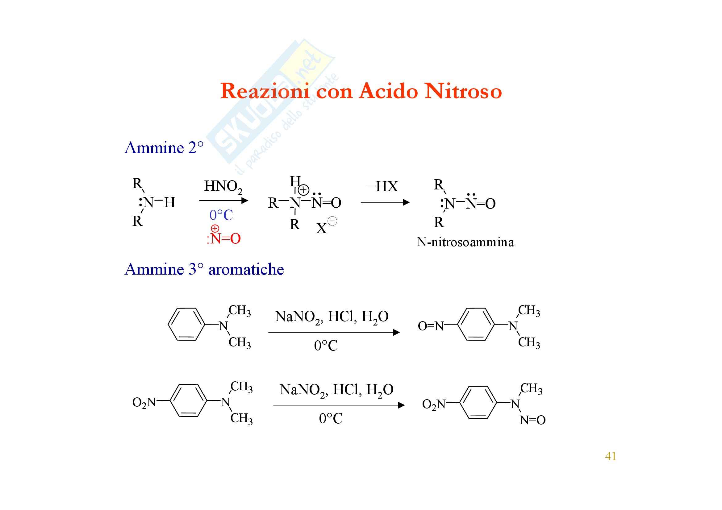 Chimica organica - reattività delle ammine Pag. 41