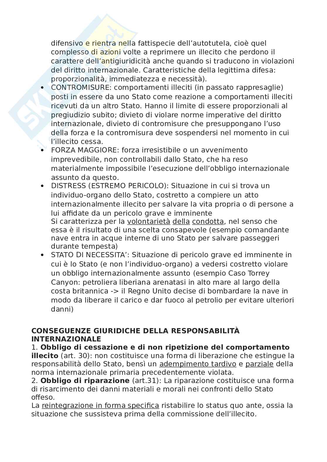 Organizzazione internazionale Pag. 66