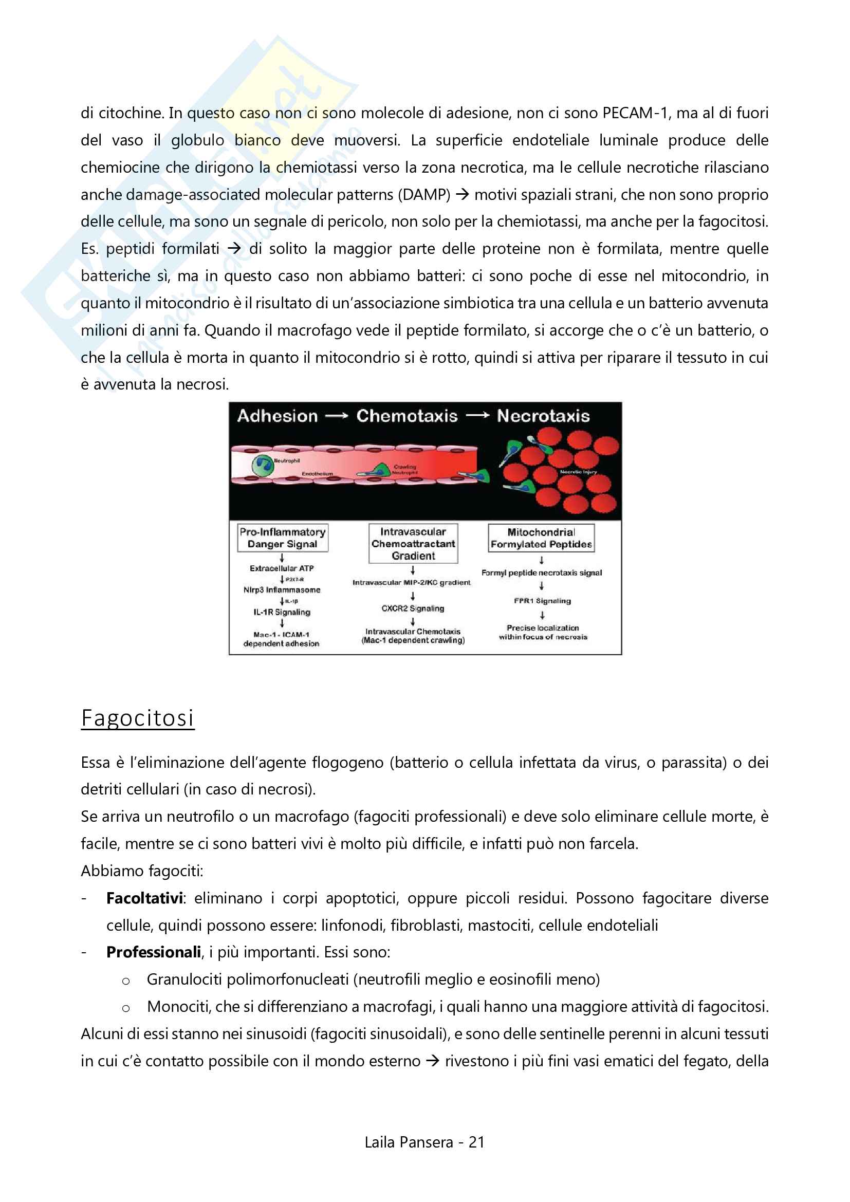 Fisopatologia, parte 2 Pag. 21