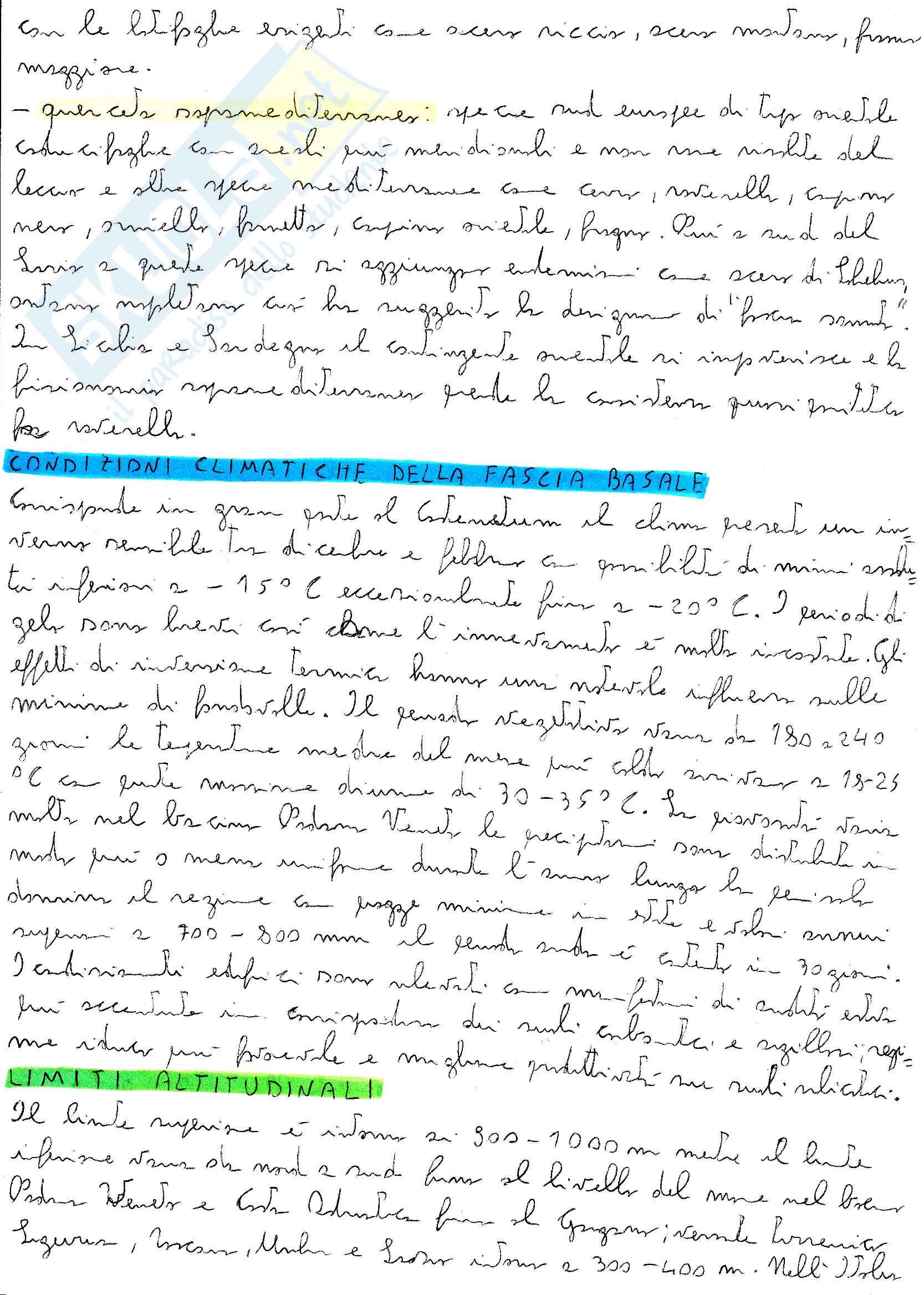 Selvicoltura speciale  boschi della fascia basale e querceti Pag. 2