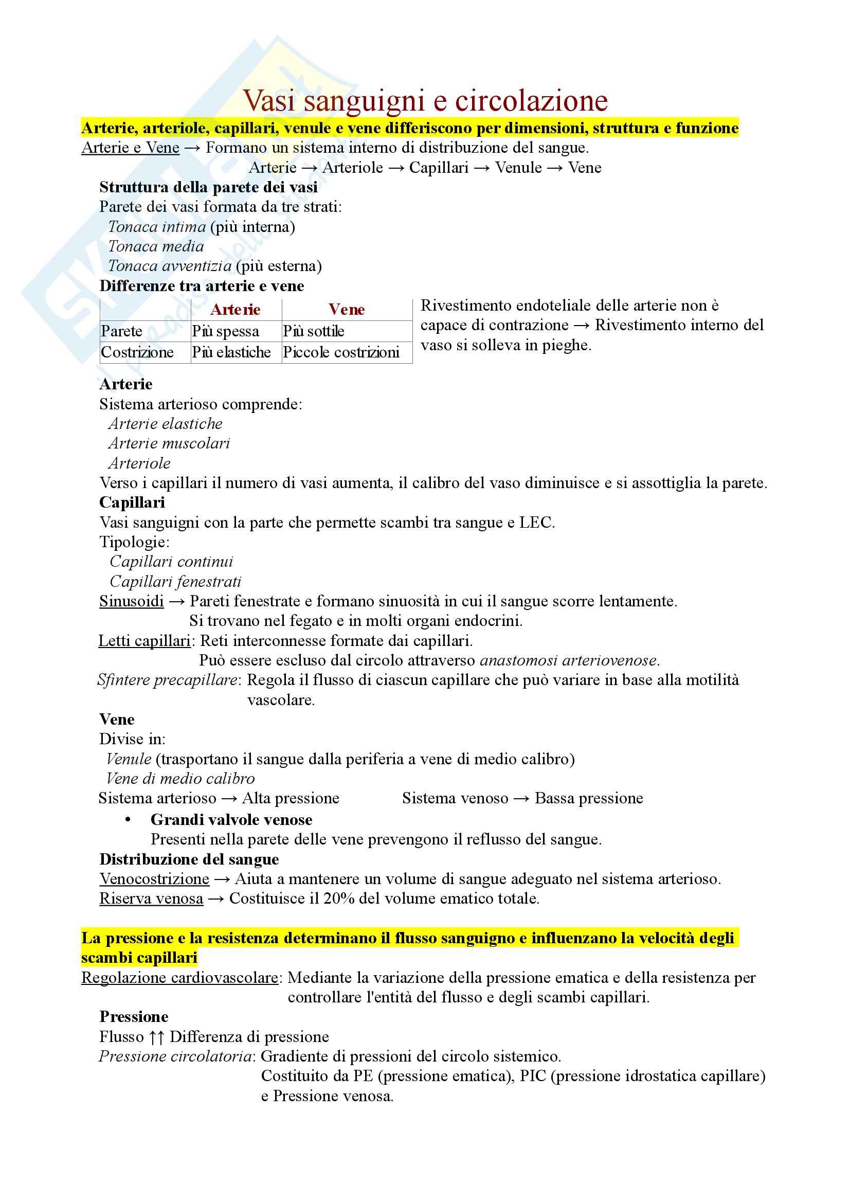 Anatomiae fisiologia - Vasi sanguigni e circolazione Pag. 1
