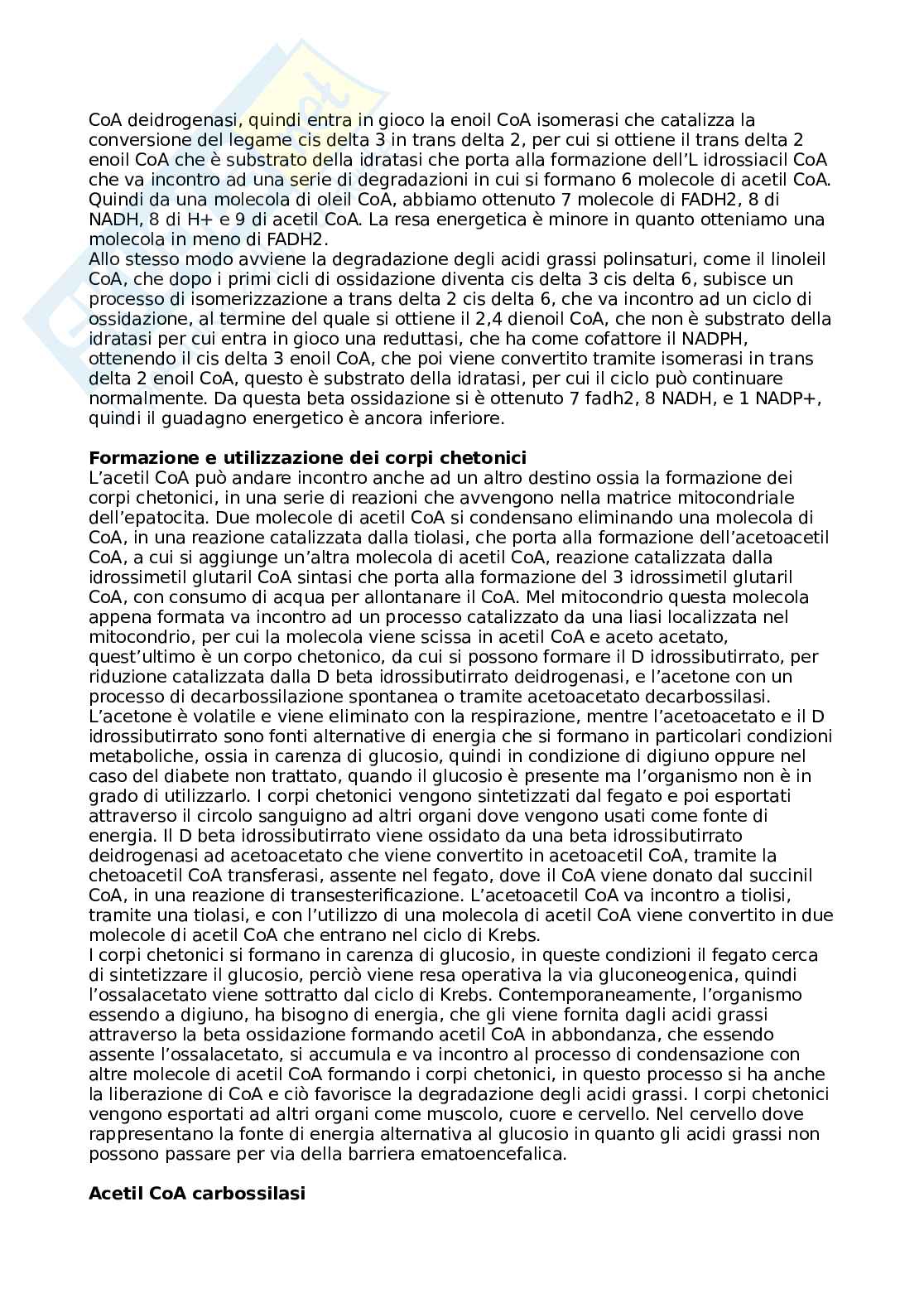Appunti metabolismo - biochimica Pag. 26