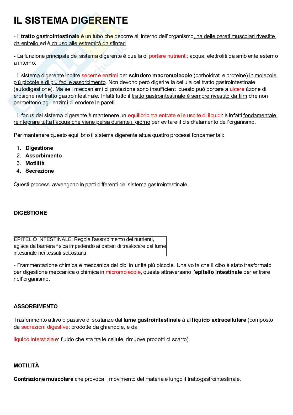 Fisiologia digerente Pag. 1