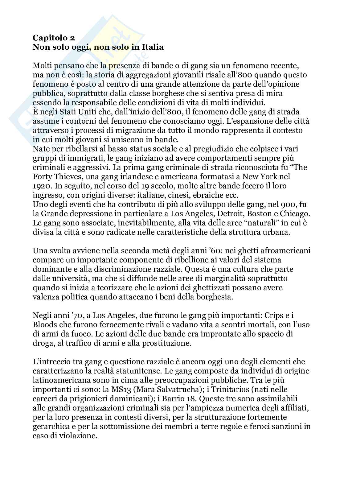 Riassunto esame, Prof Bosisio, libro consigliato Gang Giovanili, Prina Pag. 6
