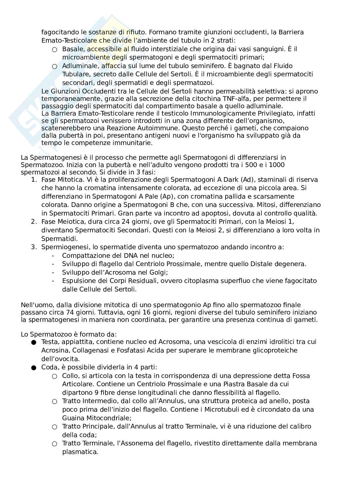 Riassunti Embriologia Pag. 2