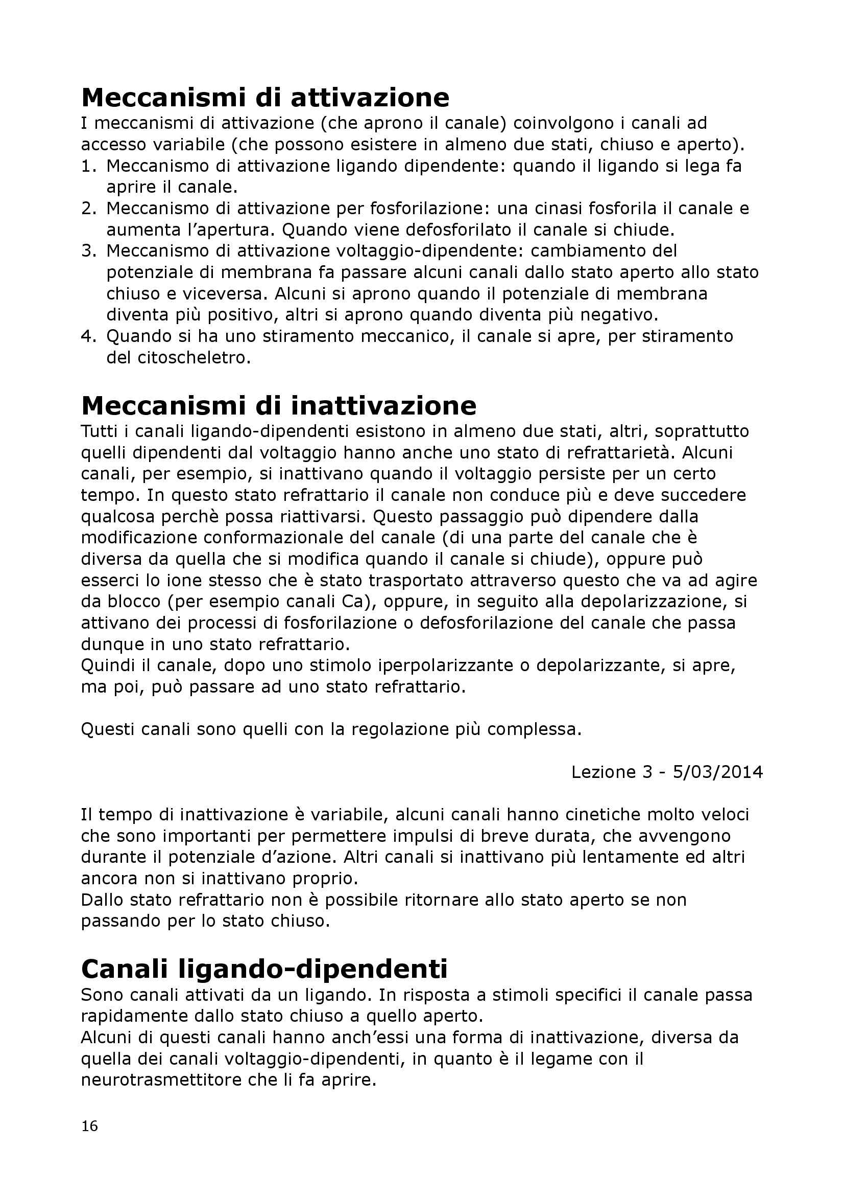 Fisiologia Del Neurone E Della Sinapsi - Fisiologia I Pag. 16
