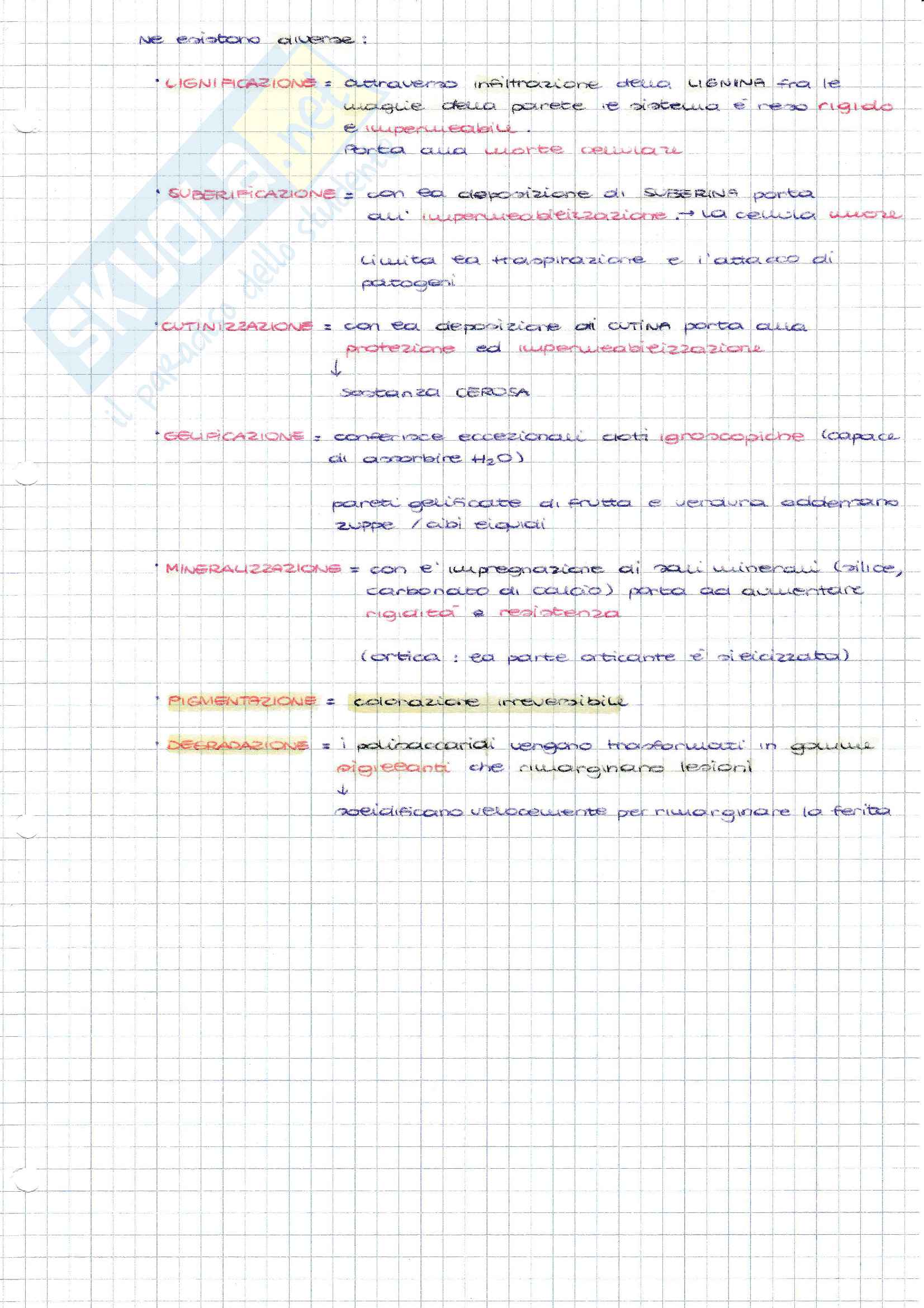 Biologia, Prof Bruni Pag. 41