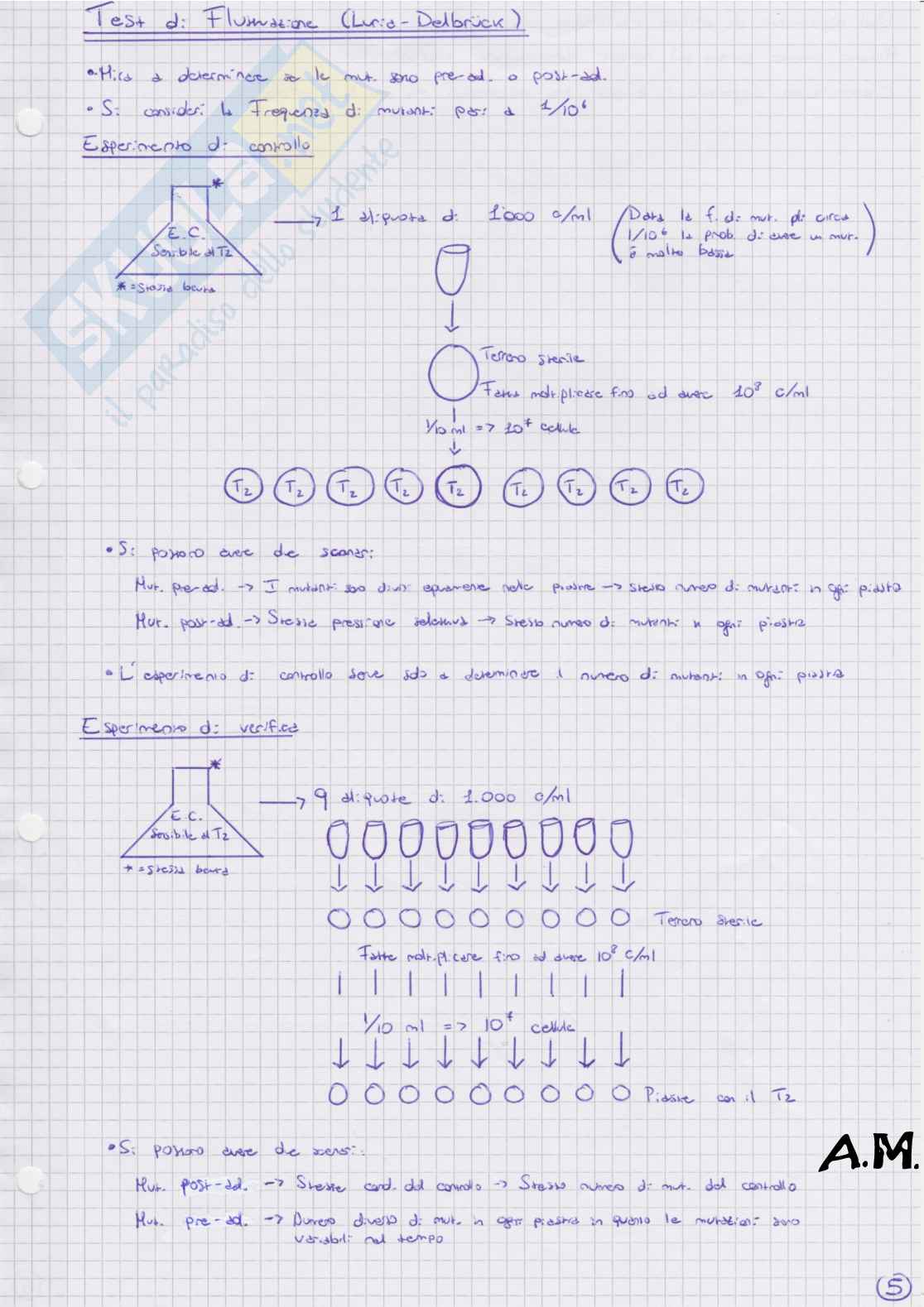 Genetica - Schemi Pag. 6