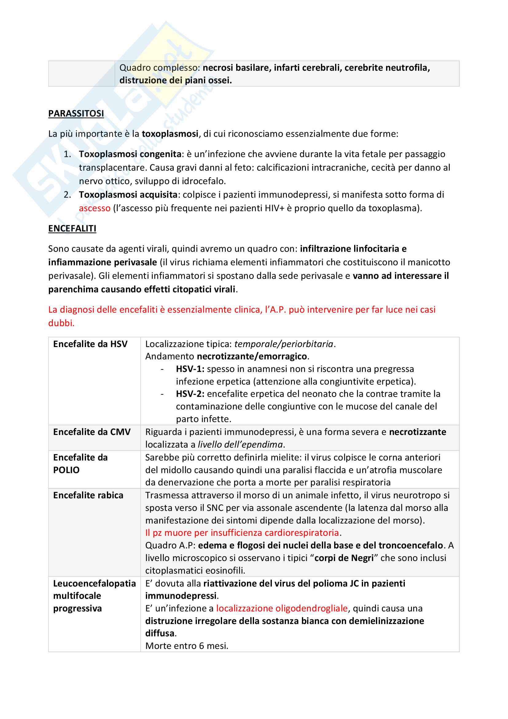 Riassunti di Anatomia Patologica Pag. 51
