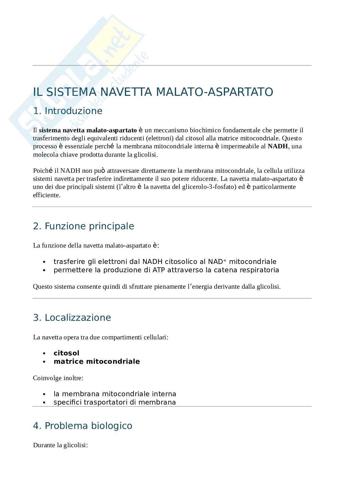 Sistema navetta malato-aspartato  Pag. 1