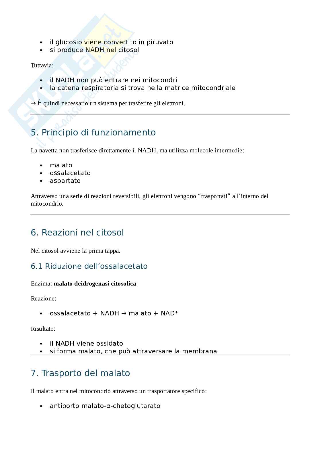 Sistema navetta malato-aspartato  Pag. 2