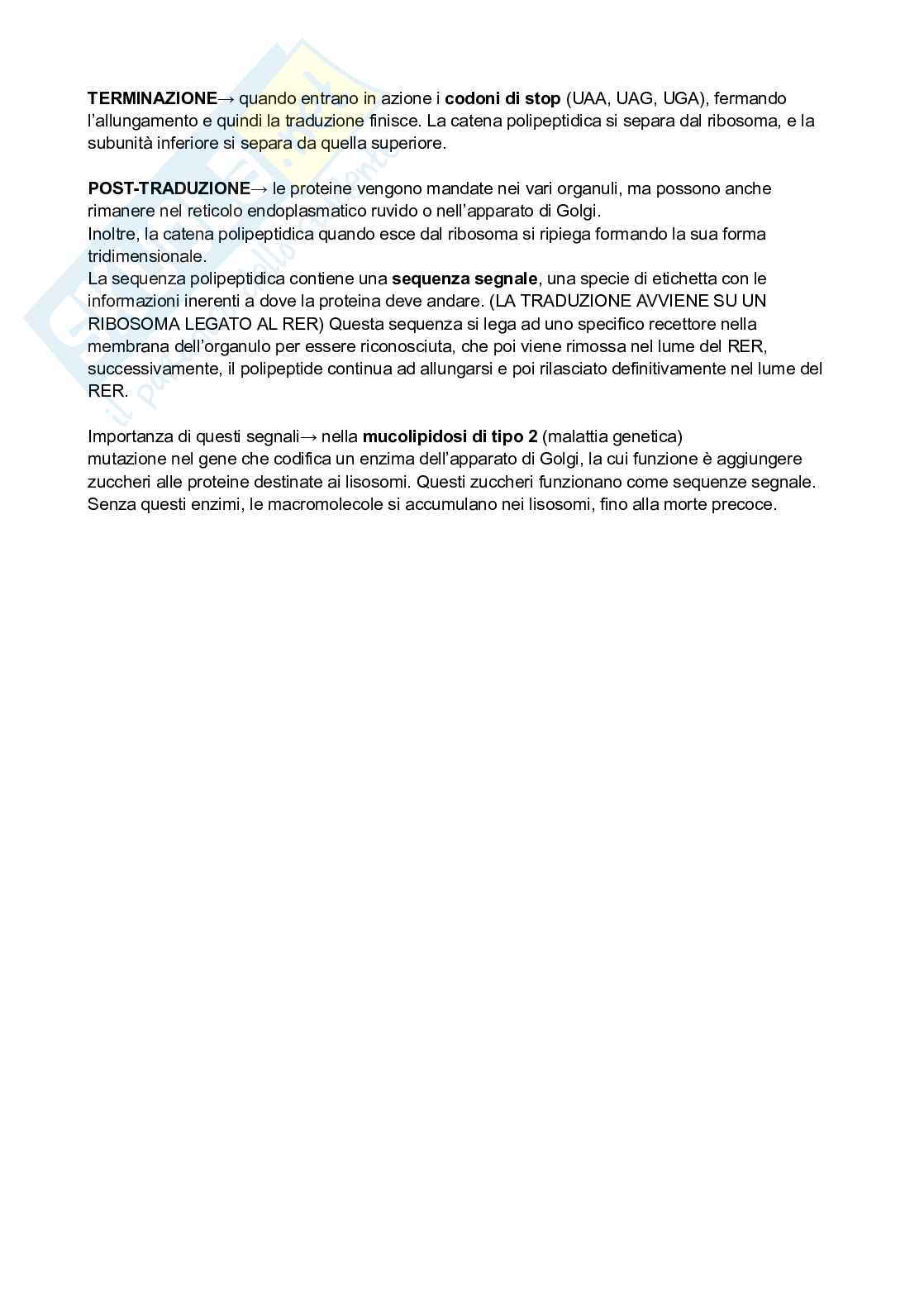 Processo di replicazione del DNA Pag. 6