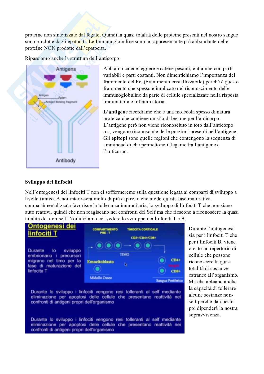 Patologia generale e fondamenti di fisiopatologia - parte 1 Pag. 11