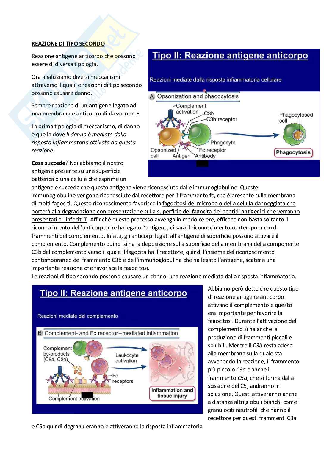 Patologia generale e fondamenti di fisiopatologia - parte 1 Pag. 36
