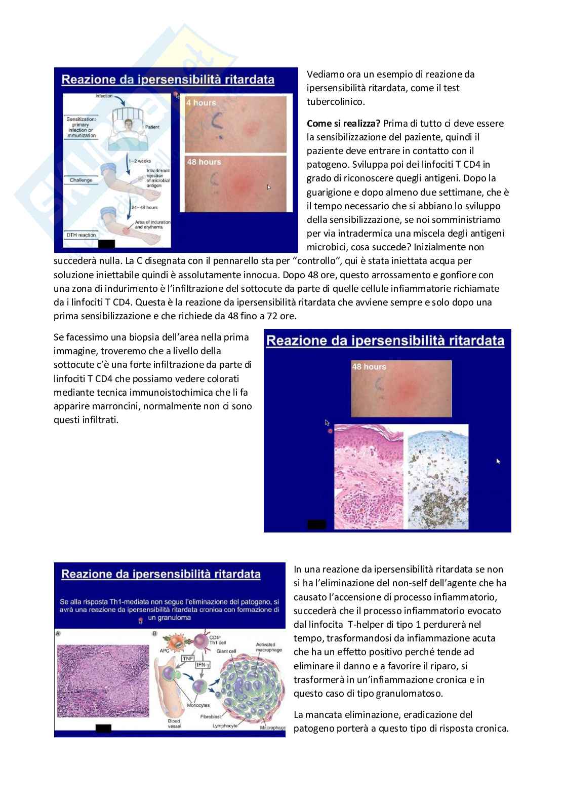 Patologia generale e fondamenti di fisiopatologia - parte 1 Pag. 41