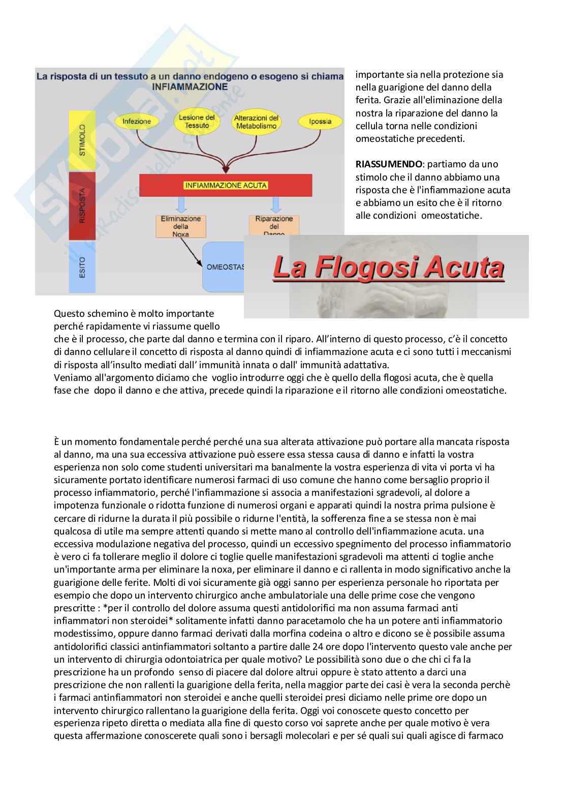 Patologia generale e fondamenti di fisiopatologia - parte 1 Pag. 51