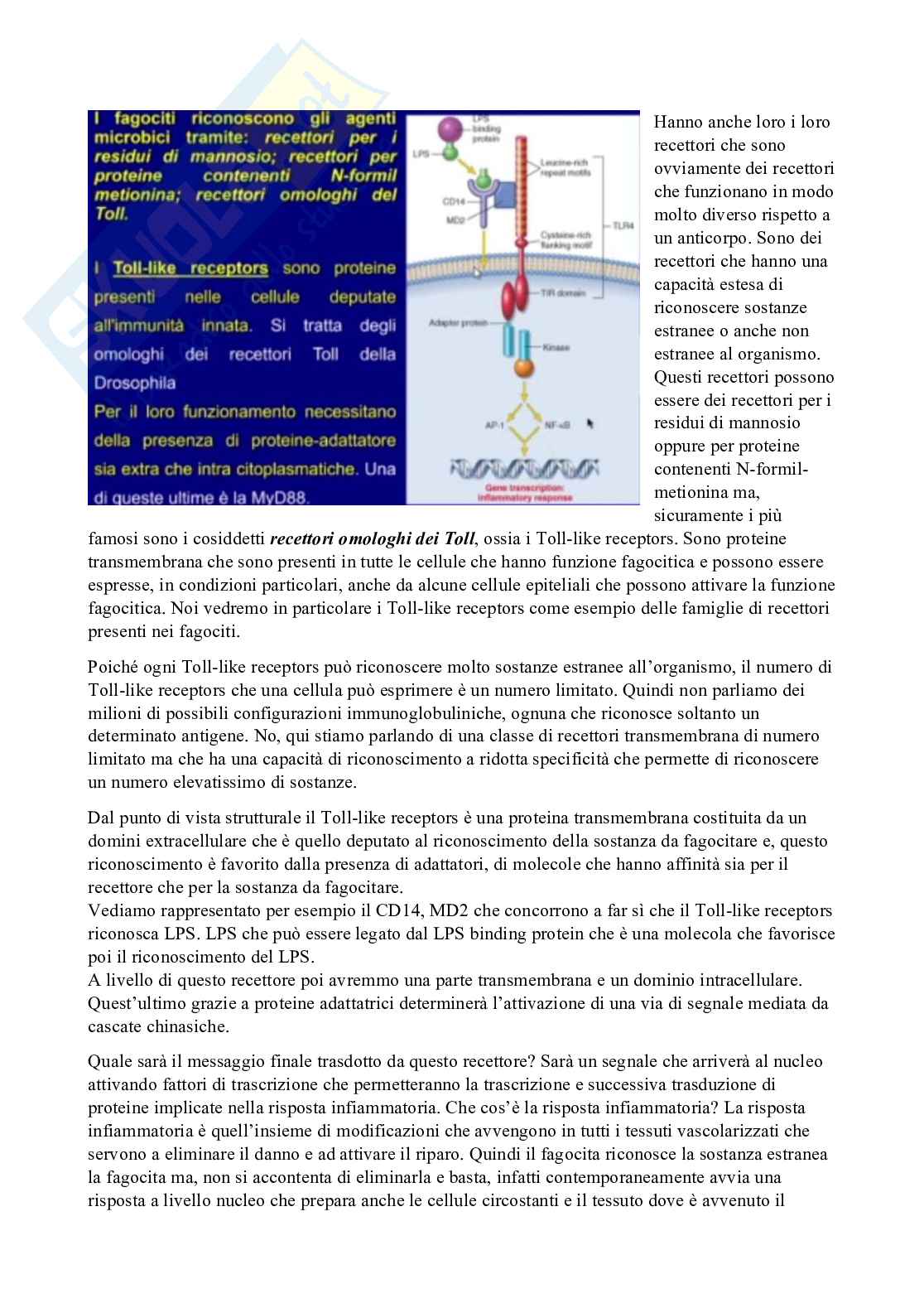 Patologia generale e fondamenti di fisiopatologia - parte 1 Pag. 6