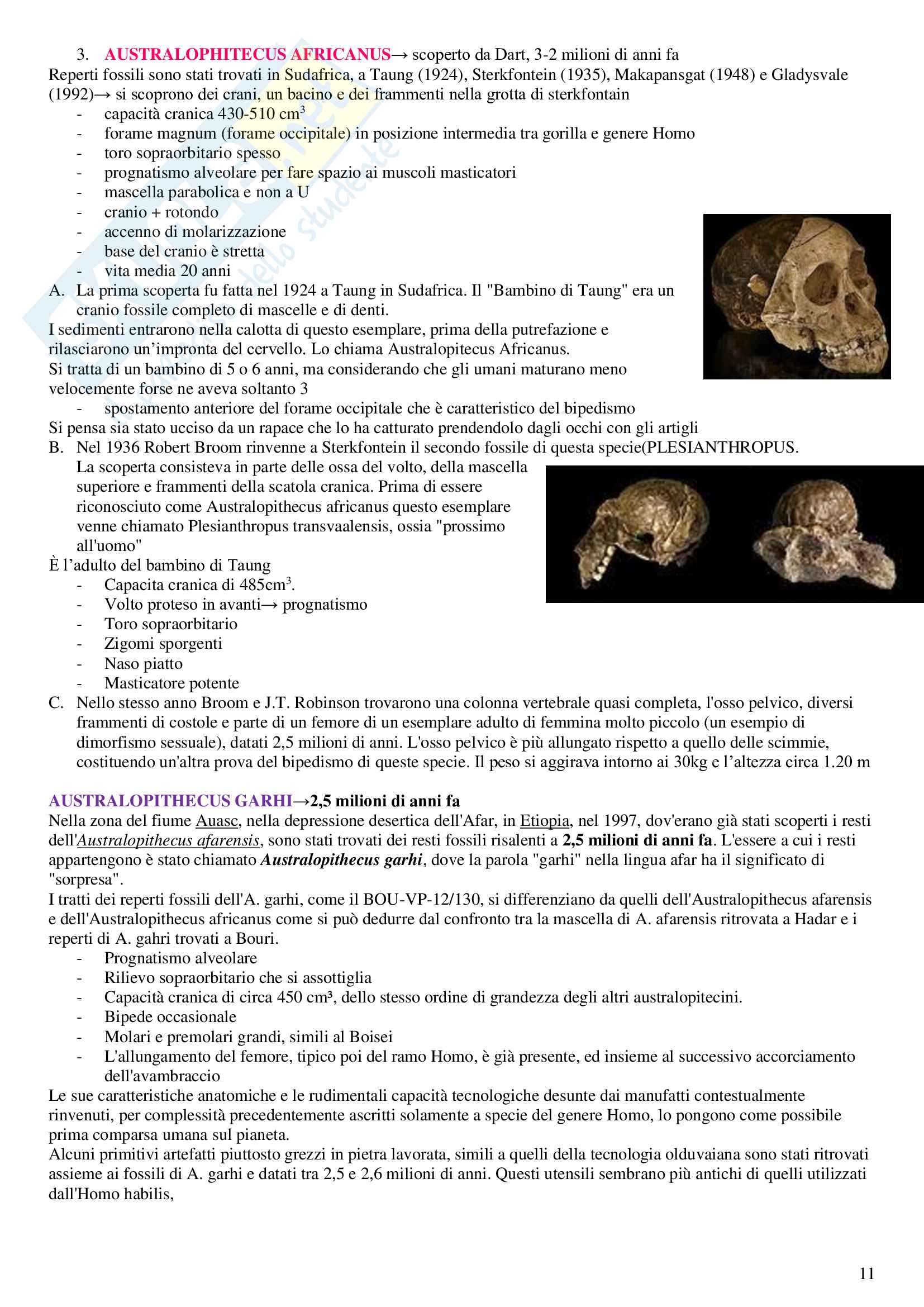 Archeobiologia Pag. 11