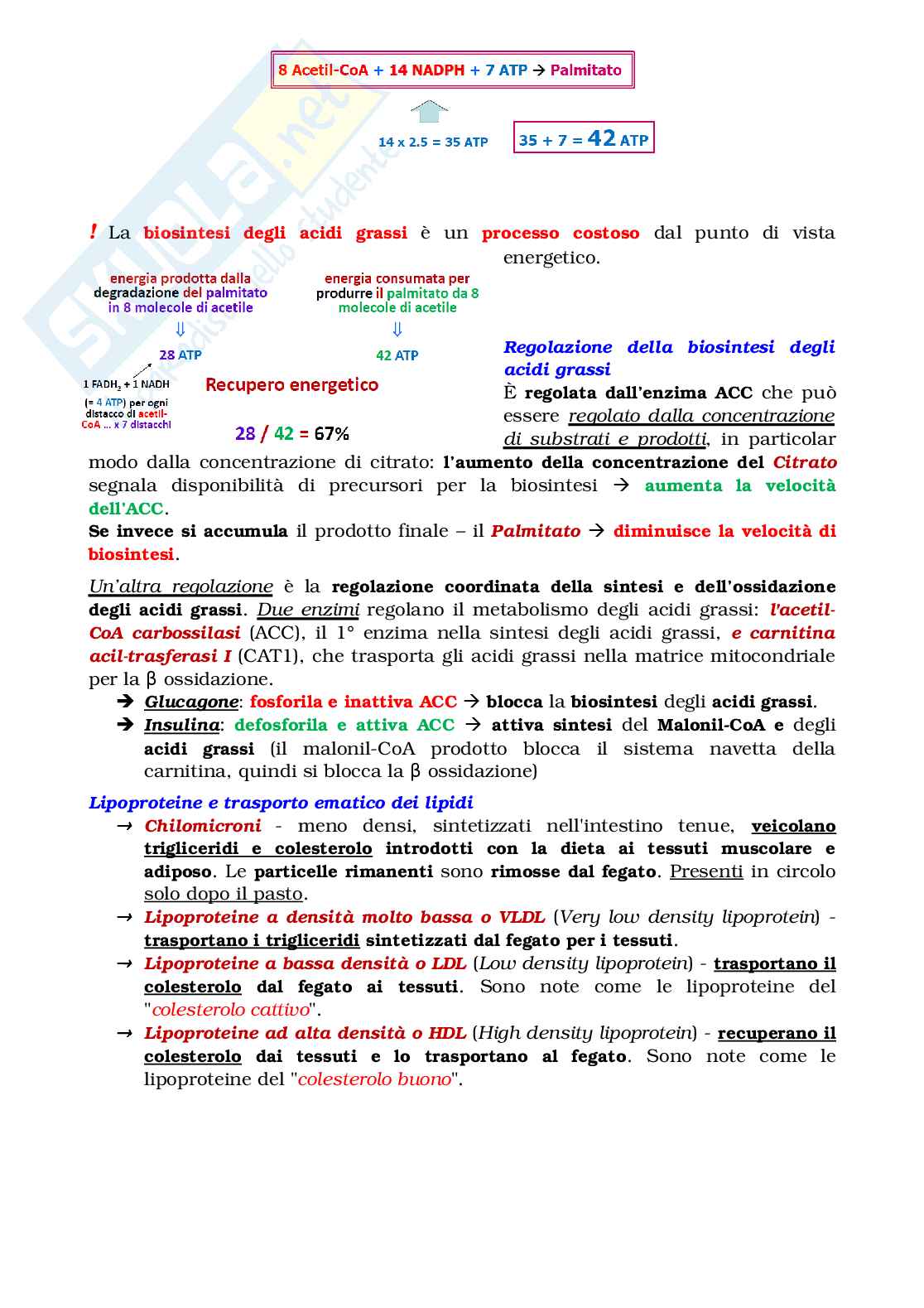 Biochimica - parte 1 Pag. 76