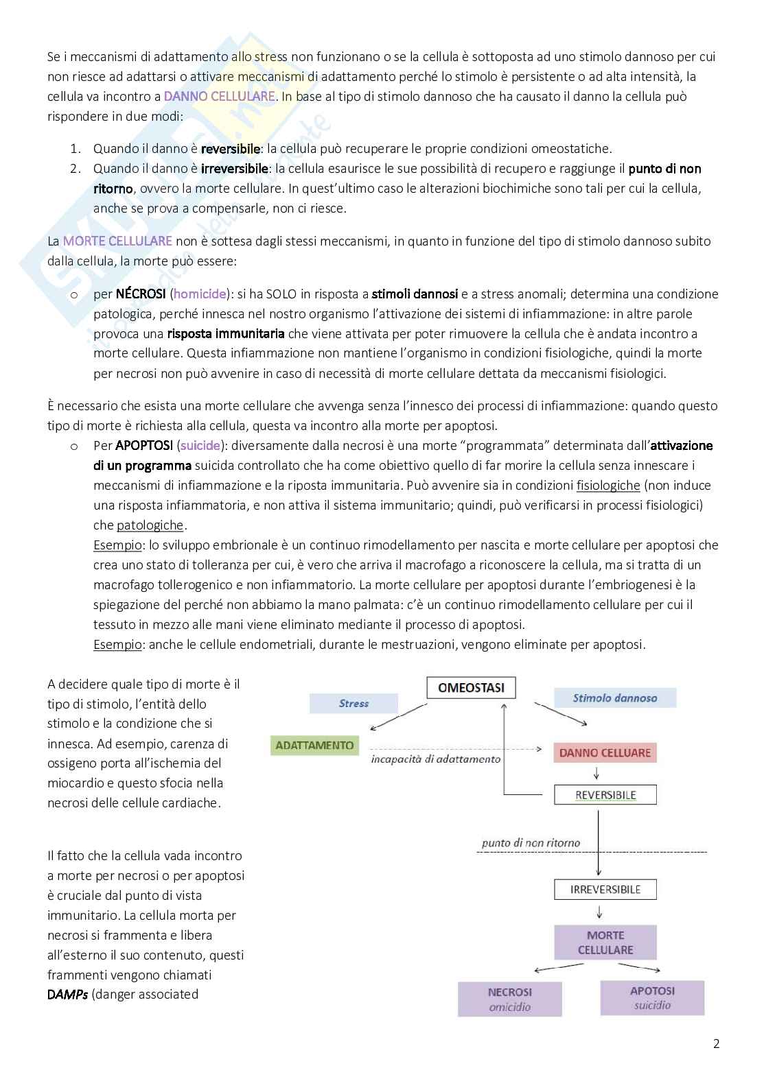 Appunti di Patologia generale e immunologia, modulo Patologia generale  Pag. 2