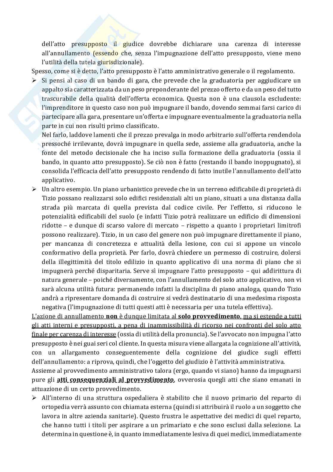 Appunti completi di Diritto processuale amministrativo Pag. 81