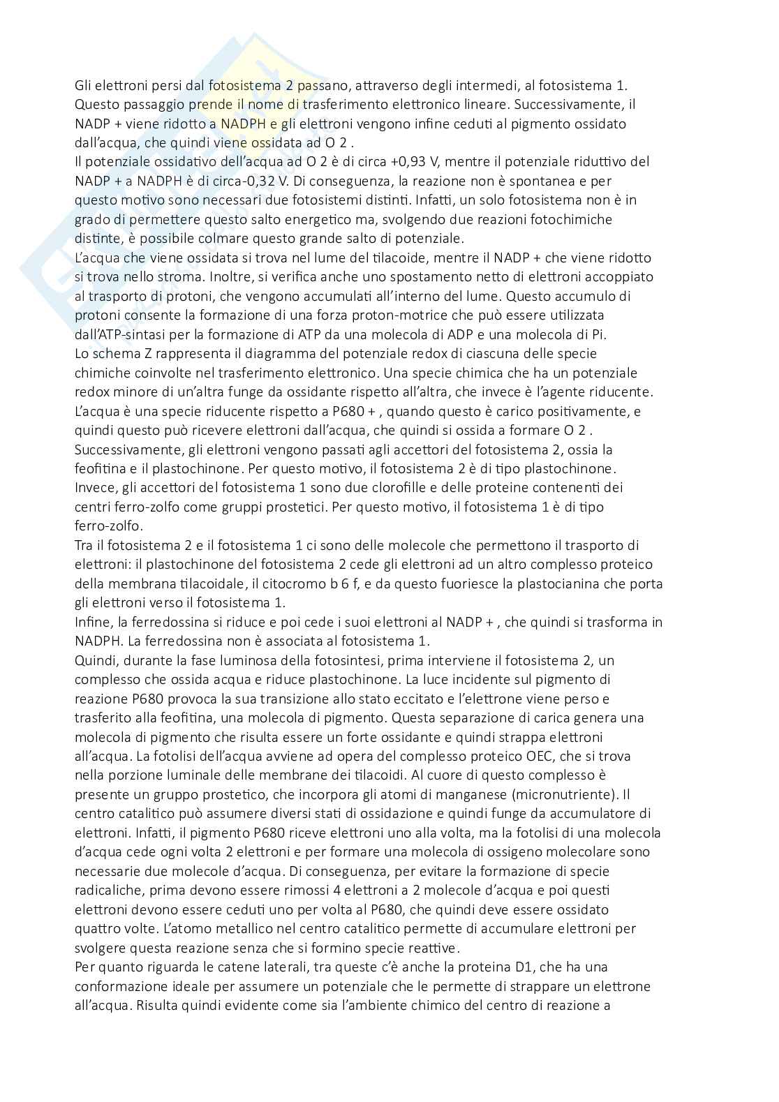 Fisiologia vegetale Pag. 26