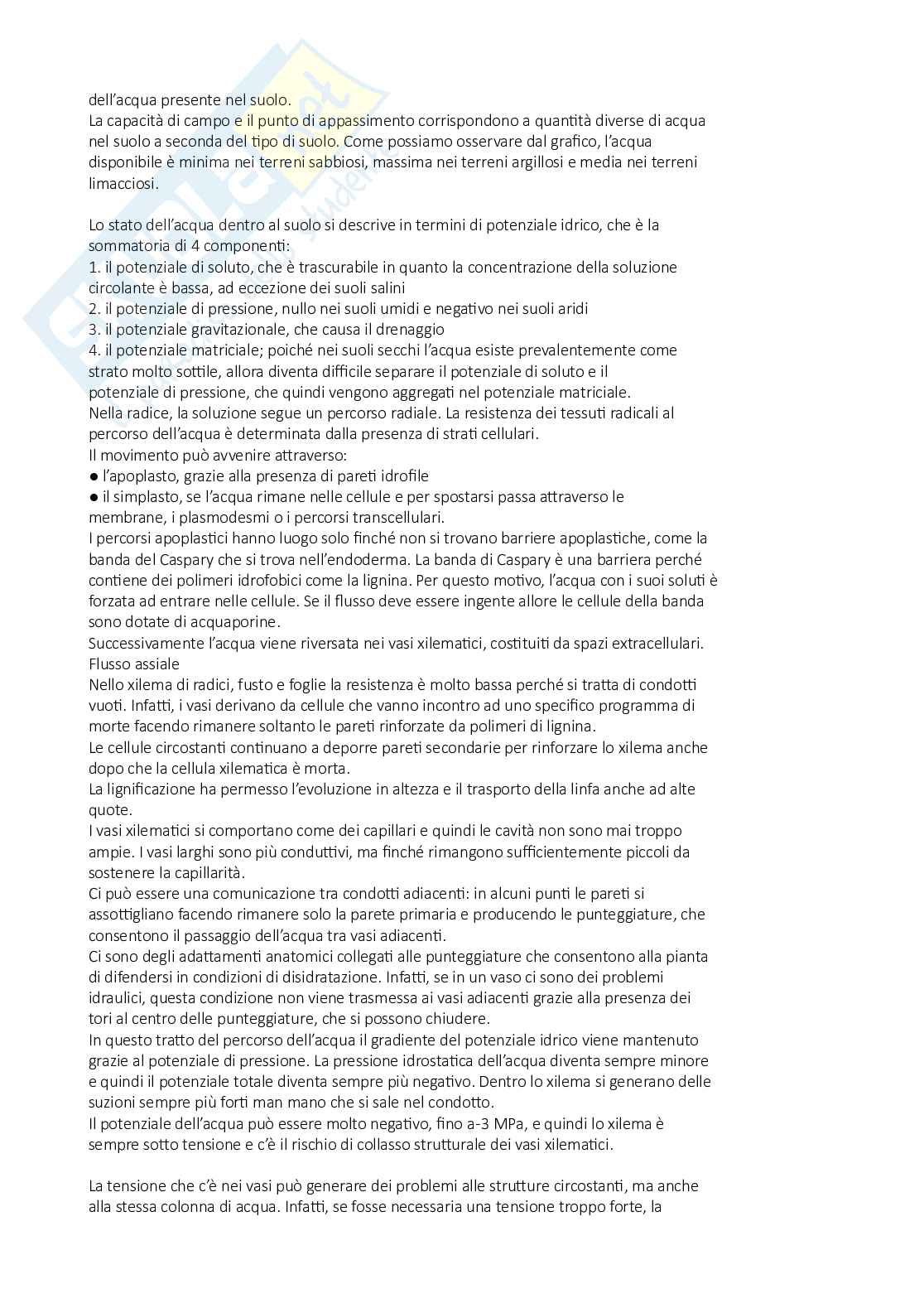 Fisiologia vegetale Pag. 6