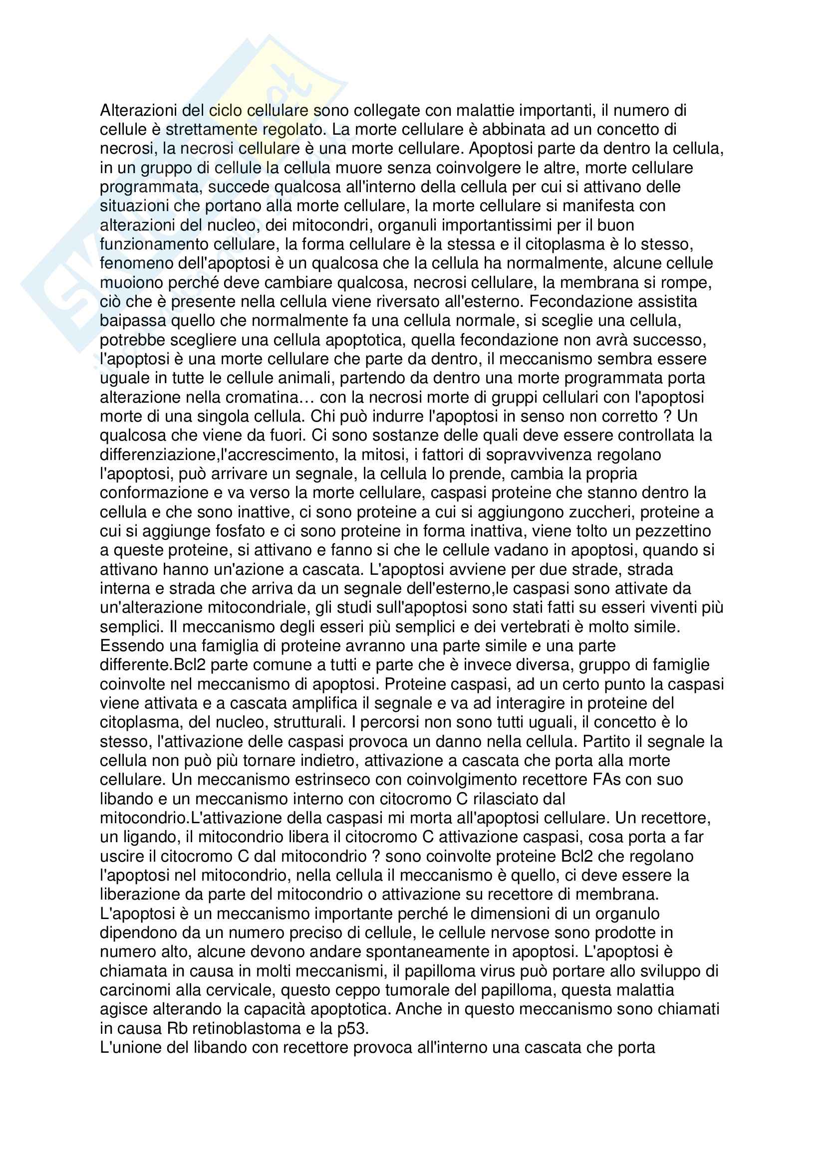 Biologia animale - mitosi e meiosi Pag. 1
