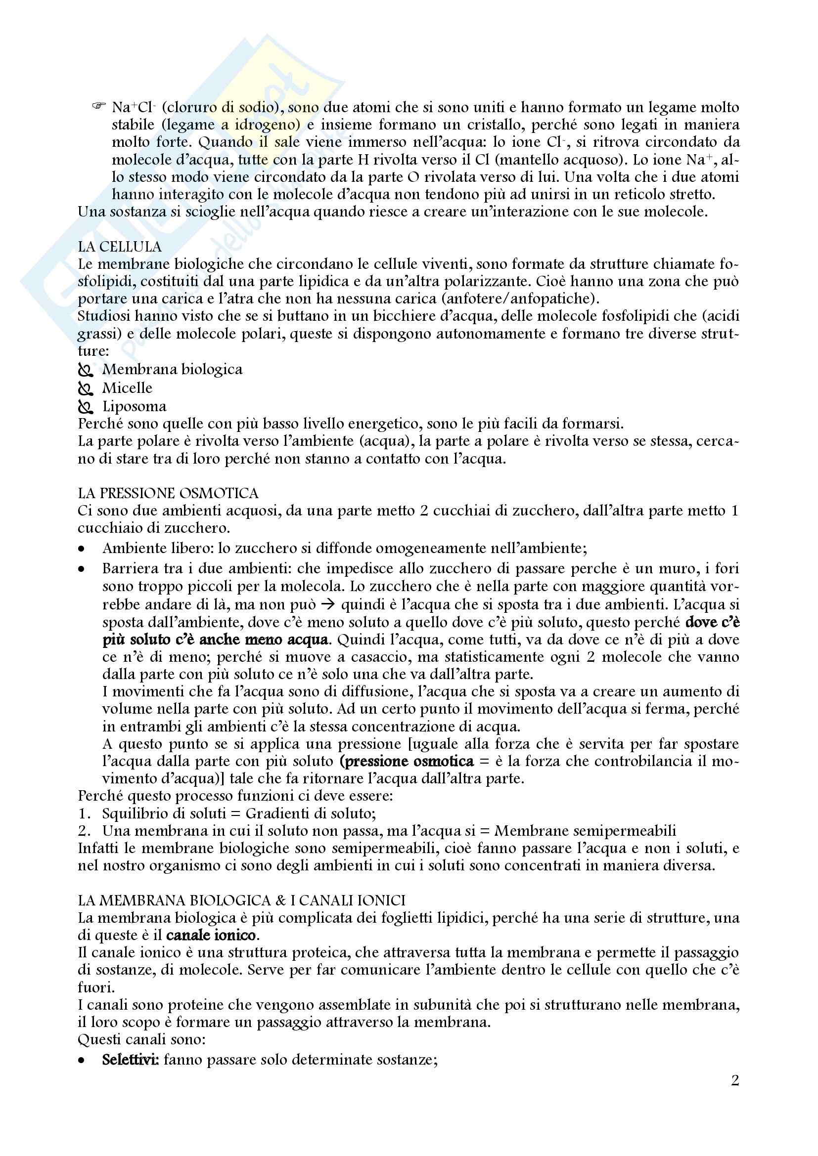 Fisiologia - Appunti Pag. 2