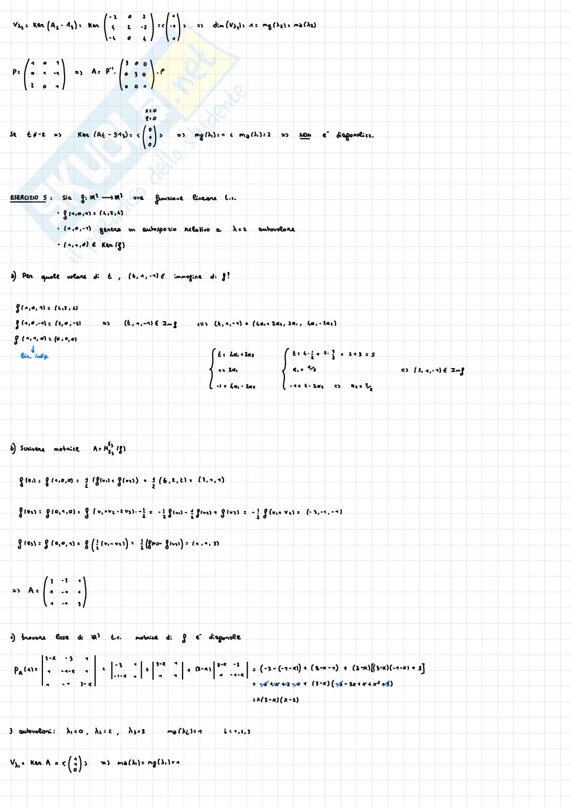 Esercizi di Fondamenti di algebra lineare e geometria Pag. 11