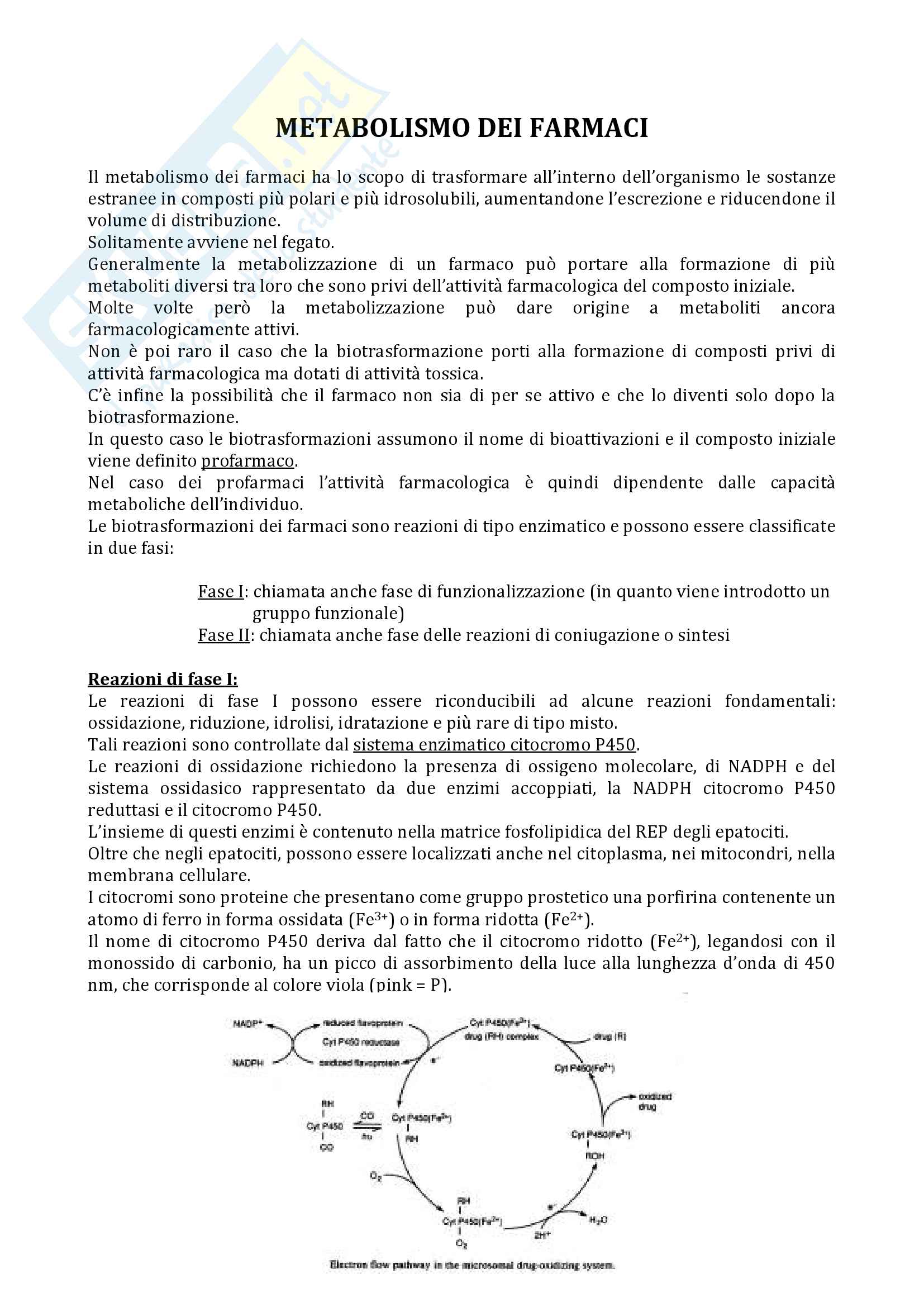 Metabolismo ed eliminazione dei farmaci Pag. 1