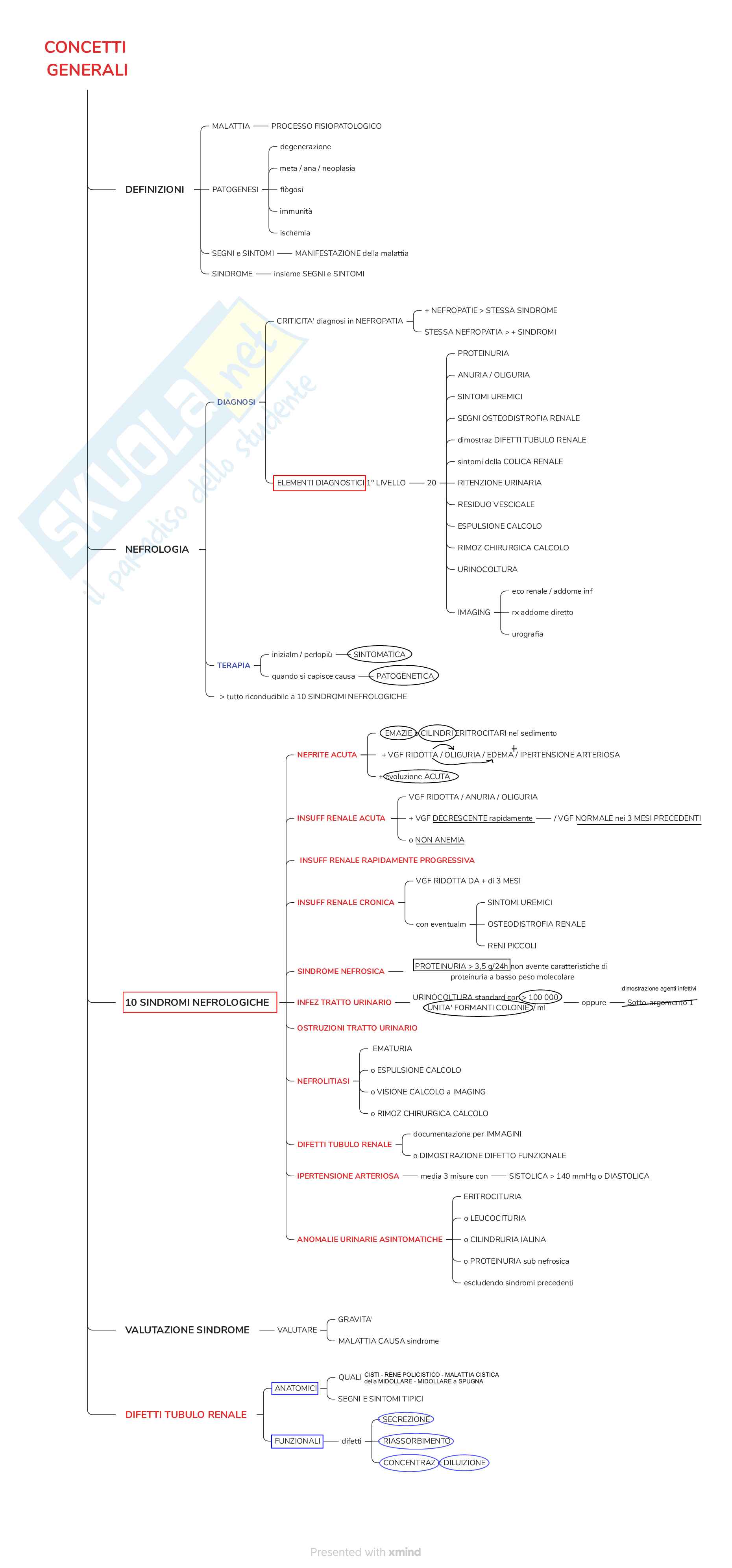 Mappe concettuali di Nefrologia, Specialità medico chirurgiche 1 Pag. 1