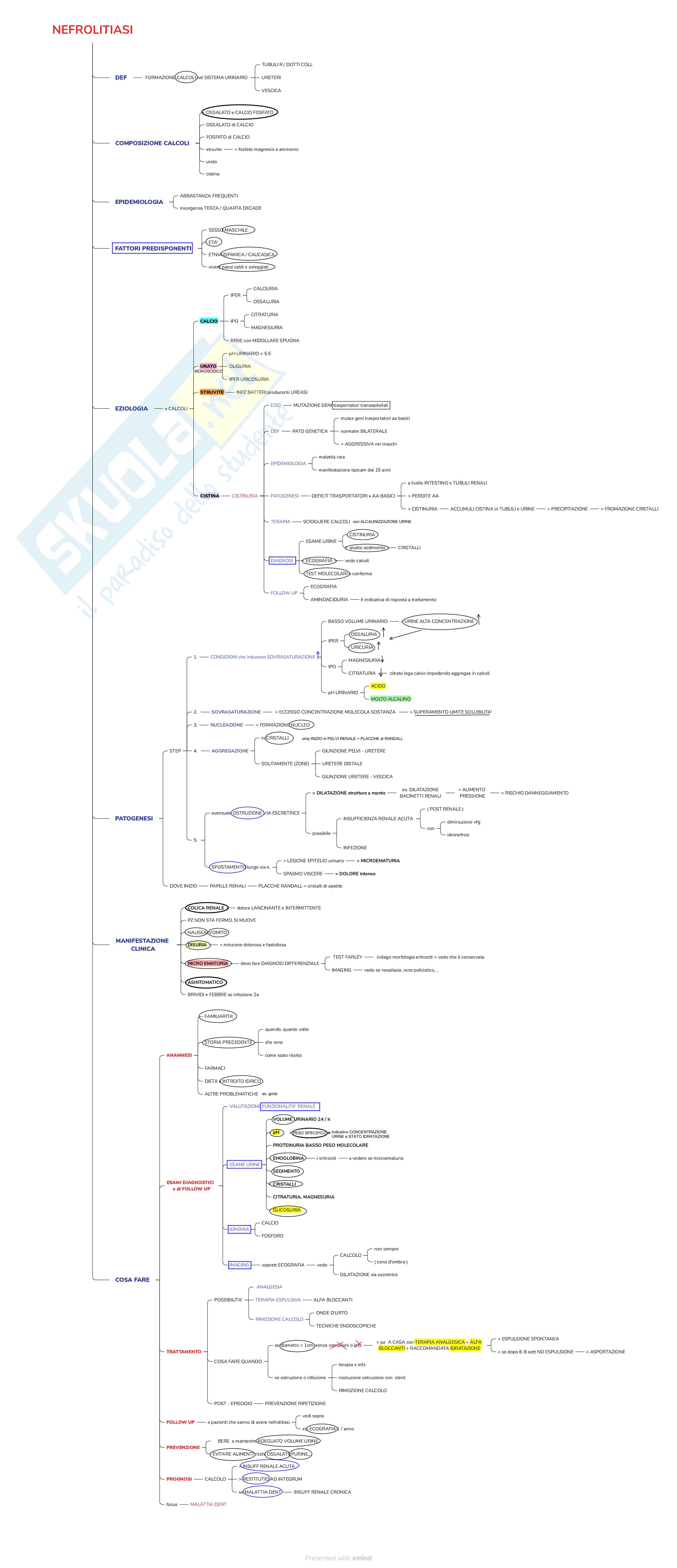 Mappe concettuali di Nefrologia, Specialità medico chirurgiche 1 Pag. 11
