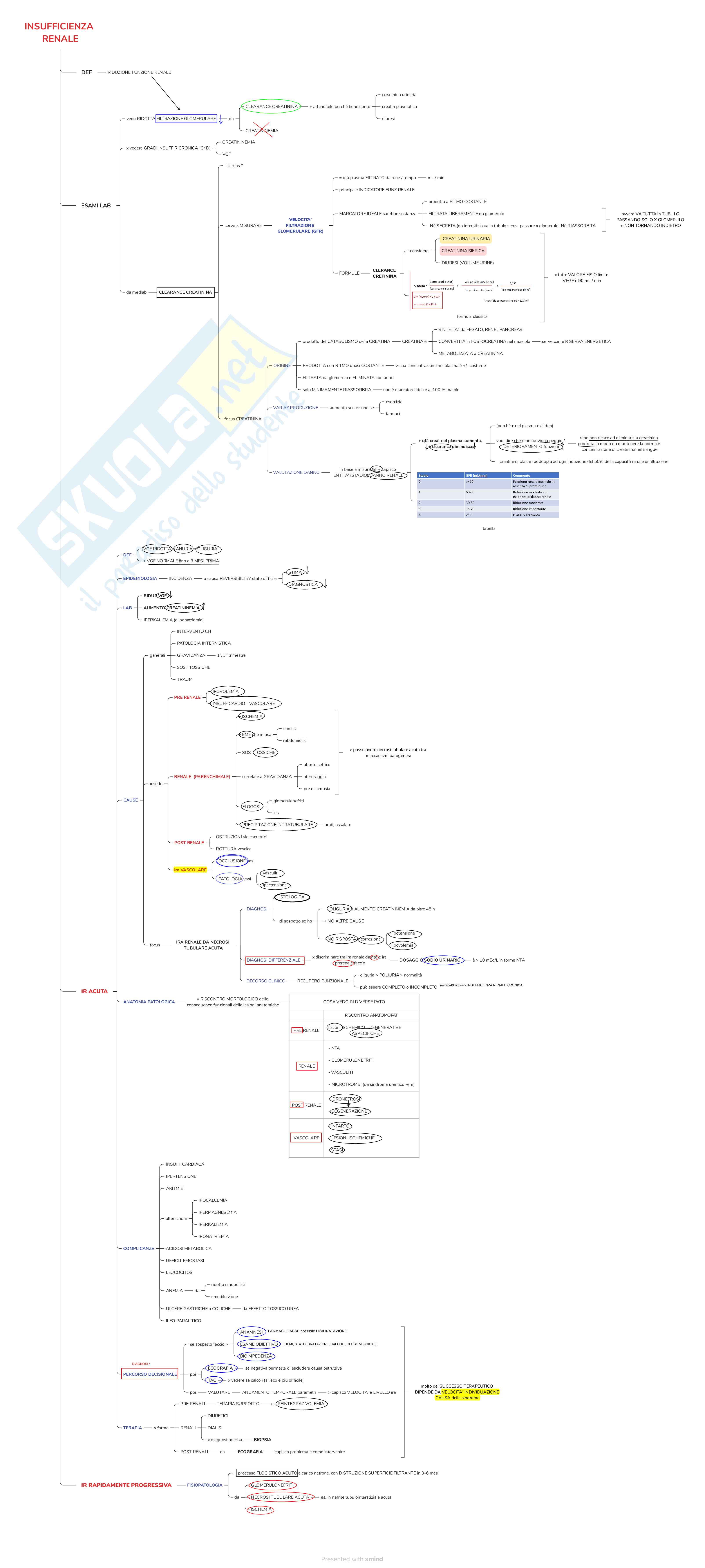 Mappe concettuali di Nefrologia, Specialità medico chirurgiche 1 Pag. 2