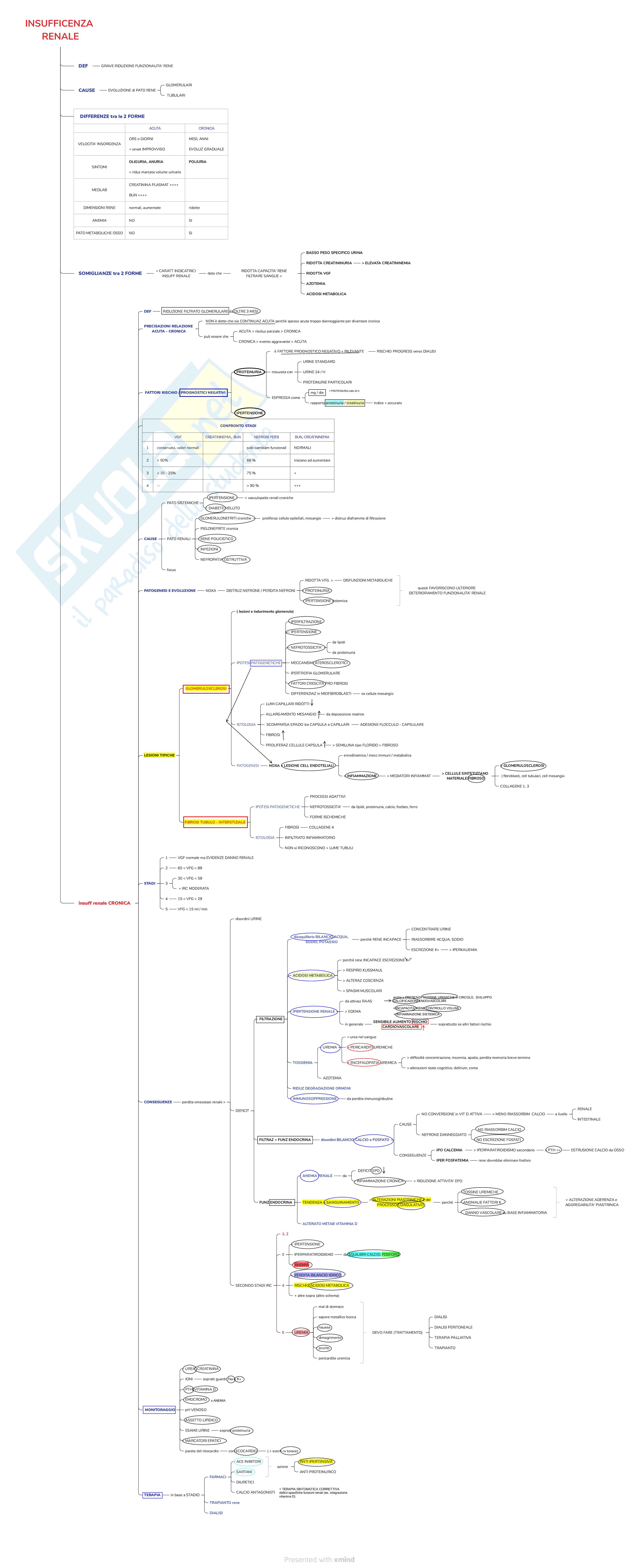 Mappe concettuali di Nefrologia, Specialità medico chirurgiche 1 Pag. 6