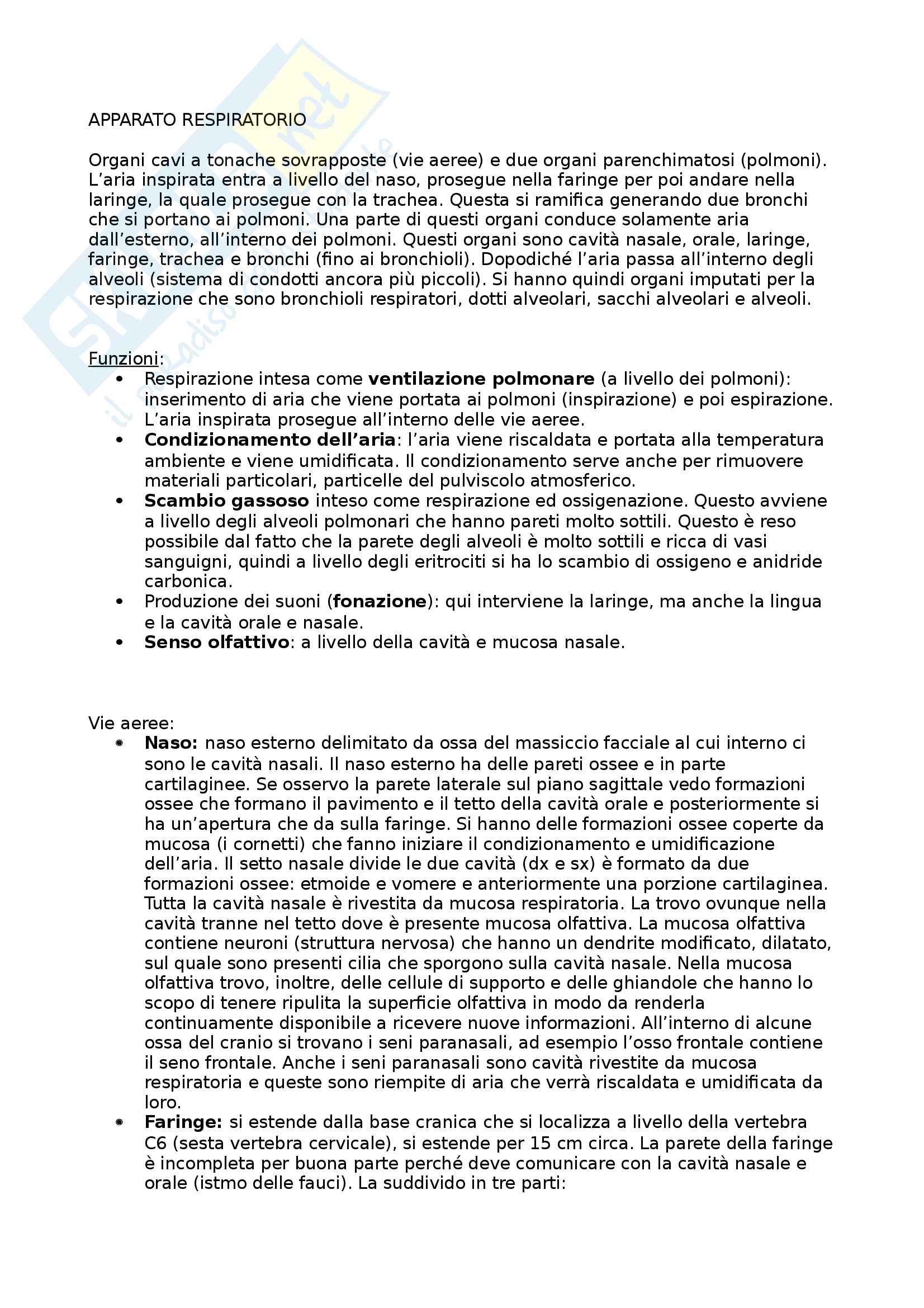 Apparato respiratorio Pag. 1