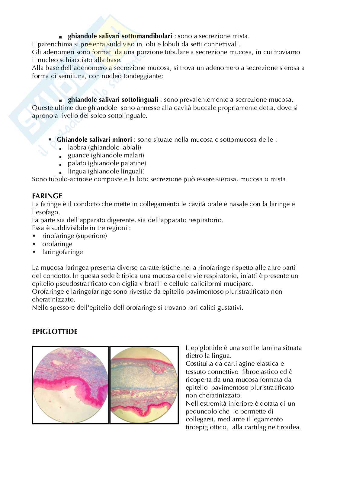 Appunti anatomia microscopica-apparato digerente  Pag. 11