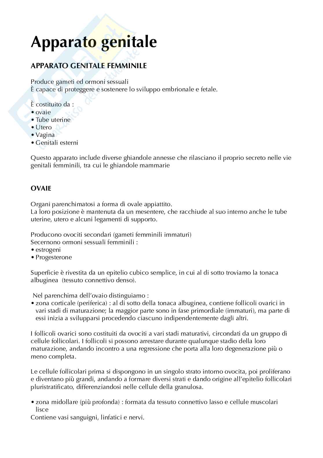 Appunti anatomia microscopica-apparato digerente  Pag. 31